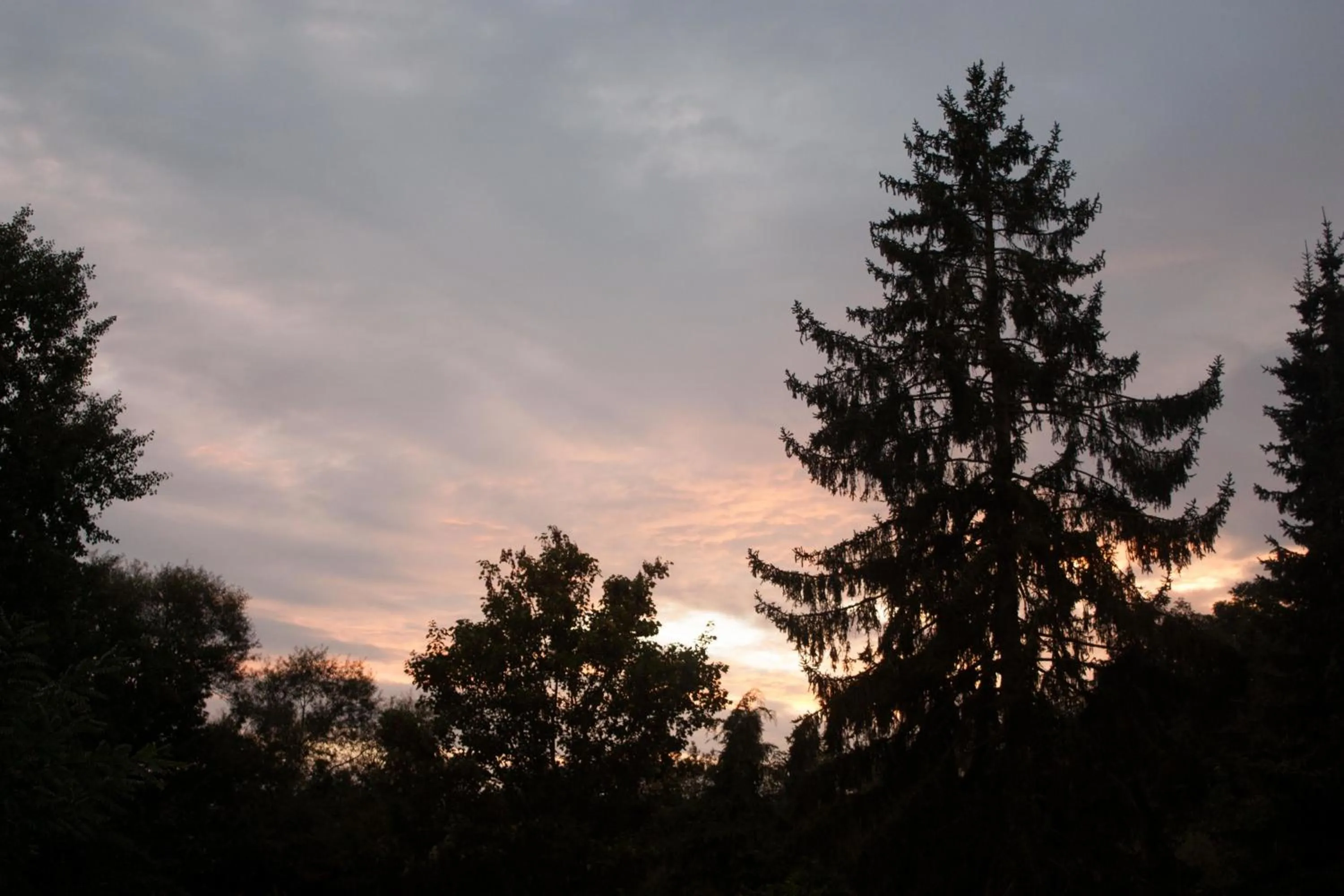 Garden view in B&B Moensberg
