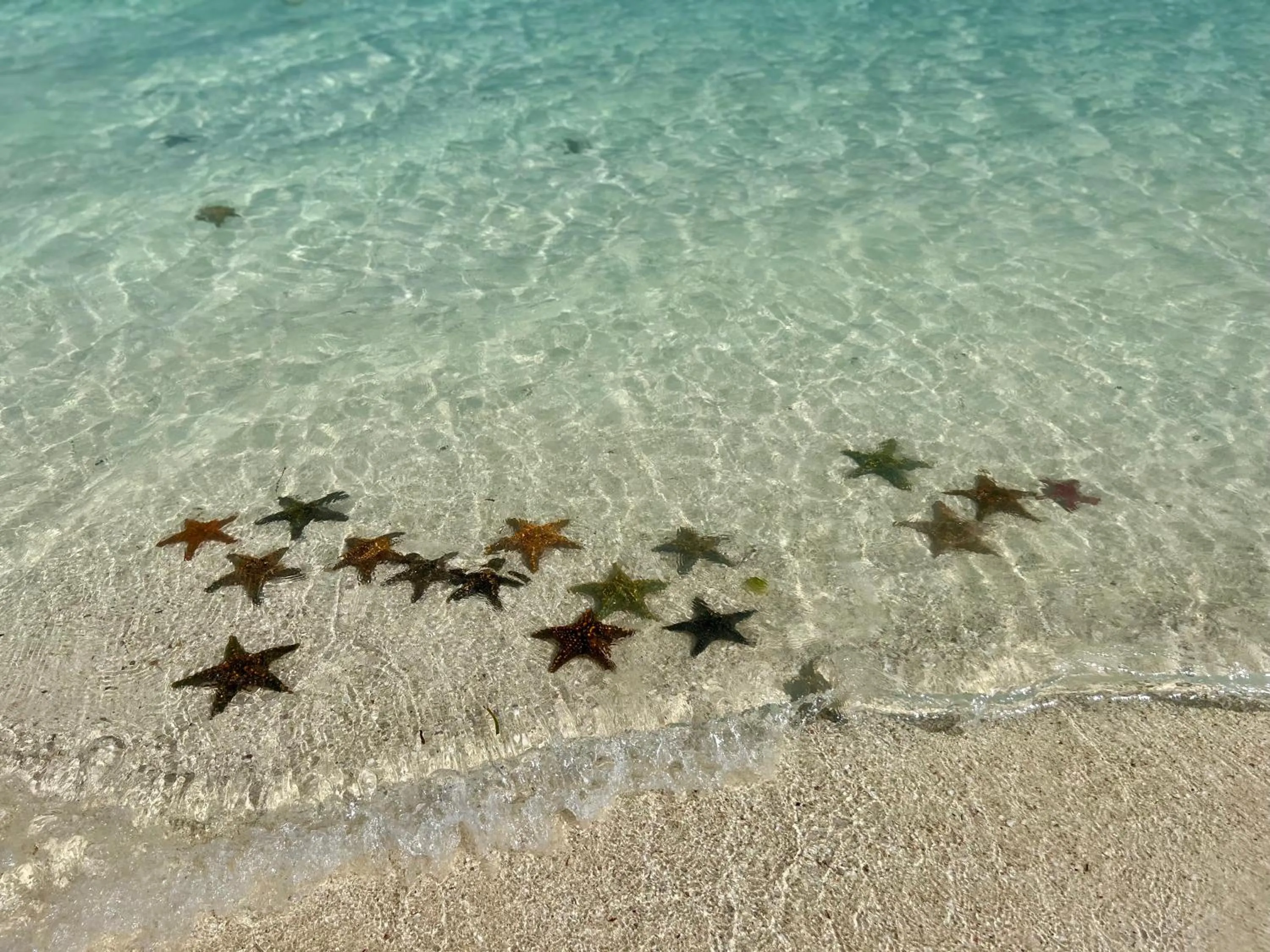 Beach in Mia Boutique Hotel
