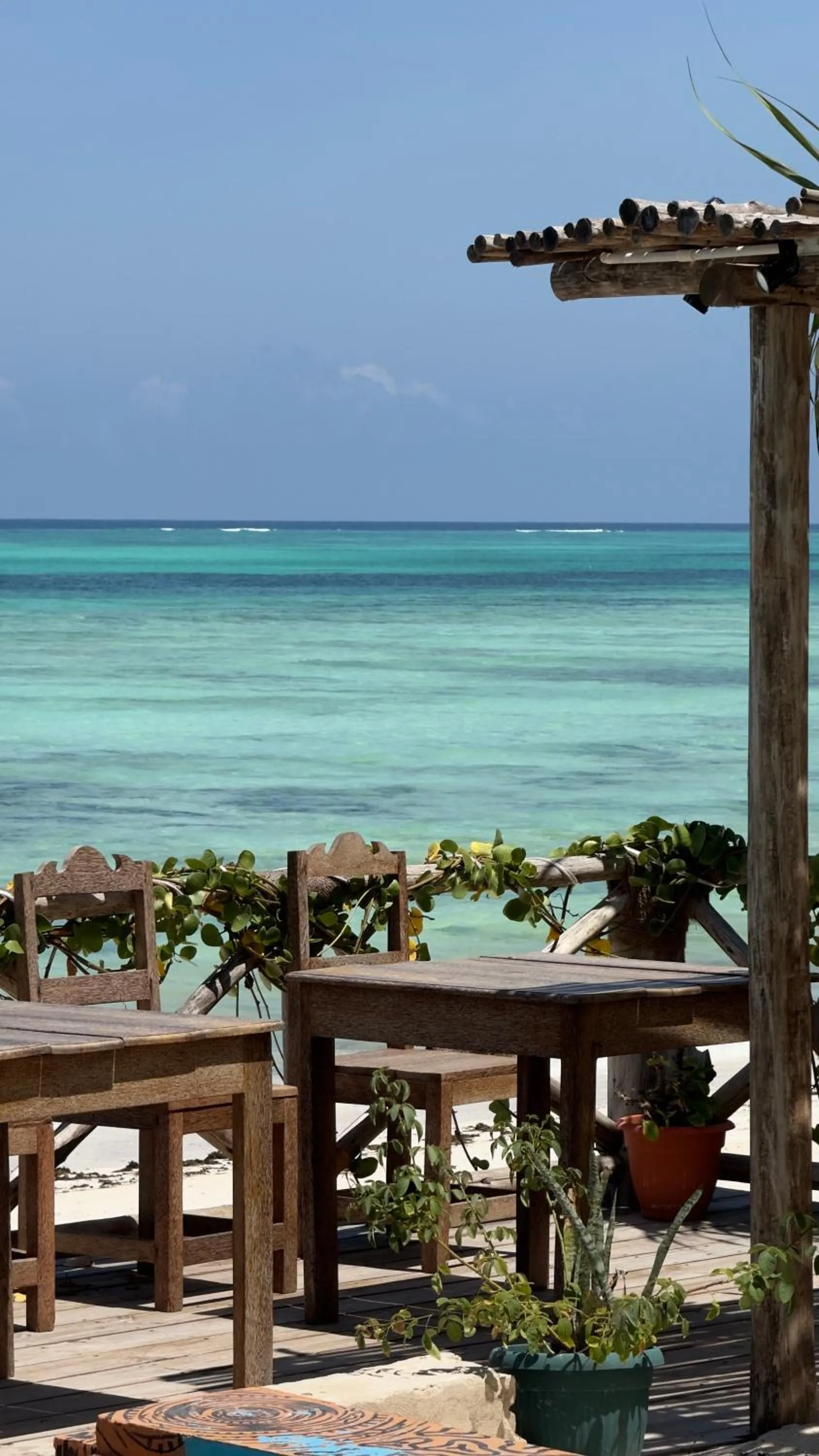 Restaurant/places to eat in Mia Boutique Hotel