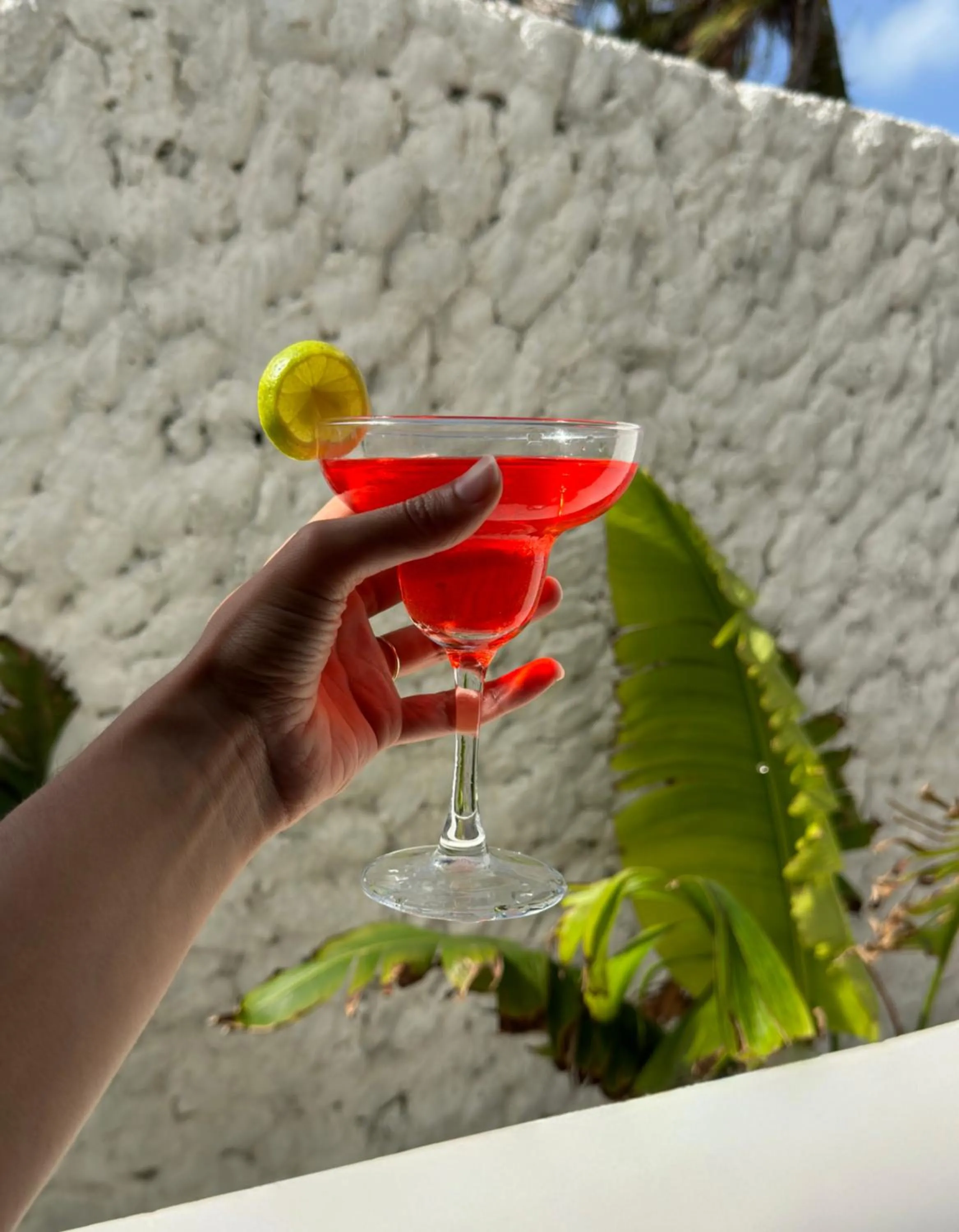 Drinks in Mia Boutique Hotel