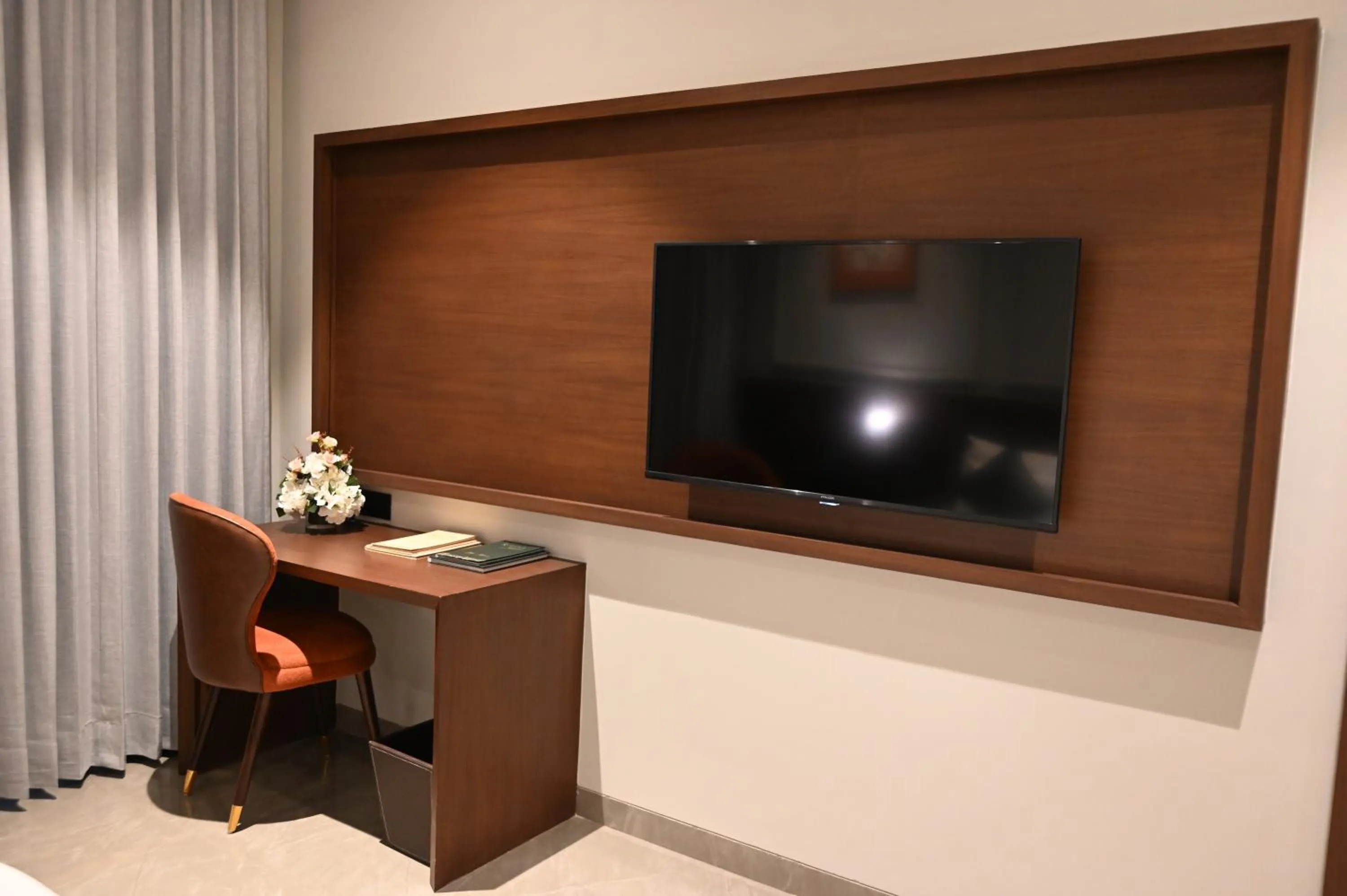 TV and multimedia in Rzekka Resort