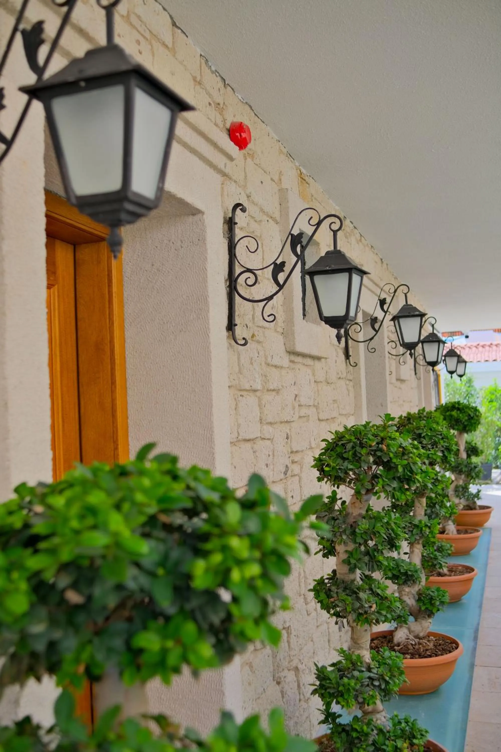 Garden view in Zaena Hotel Alaçatı