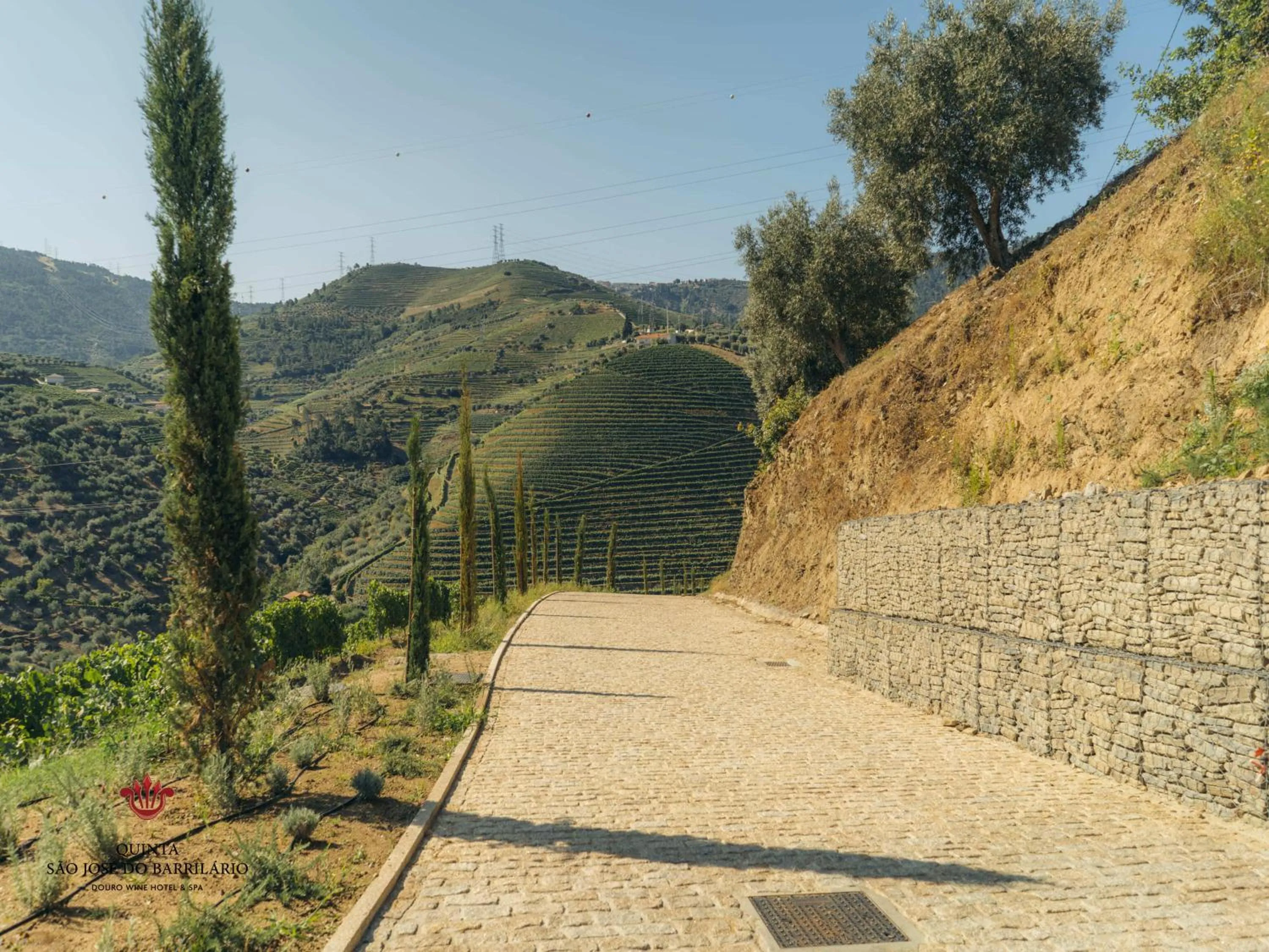 Barrilario Douro Wine Hotel e Spa - Quinta São Jose do Barrilario