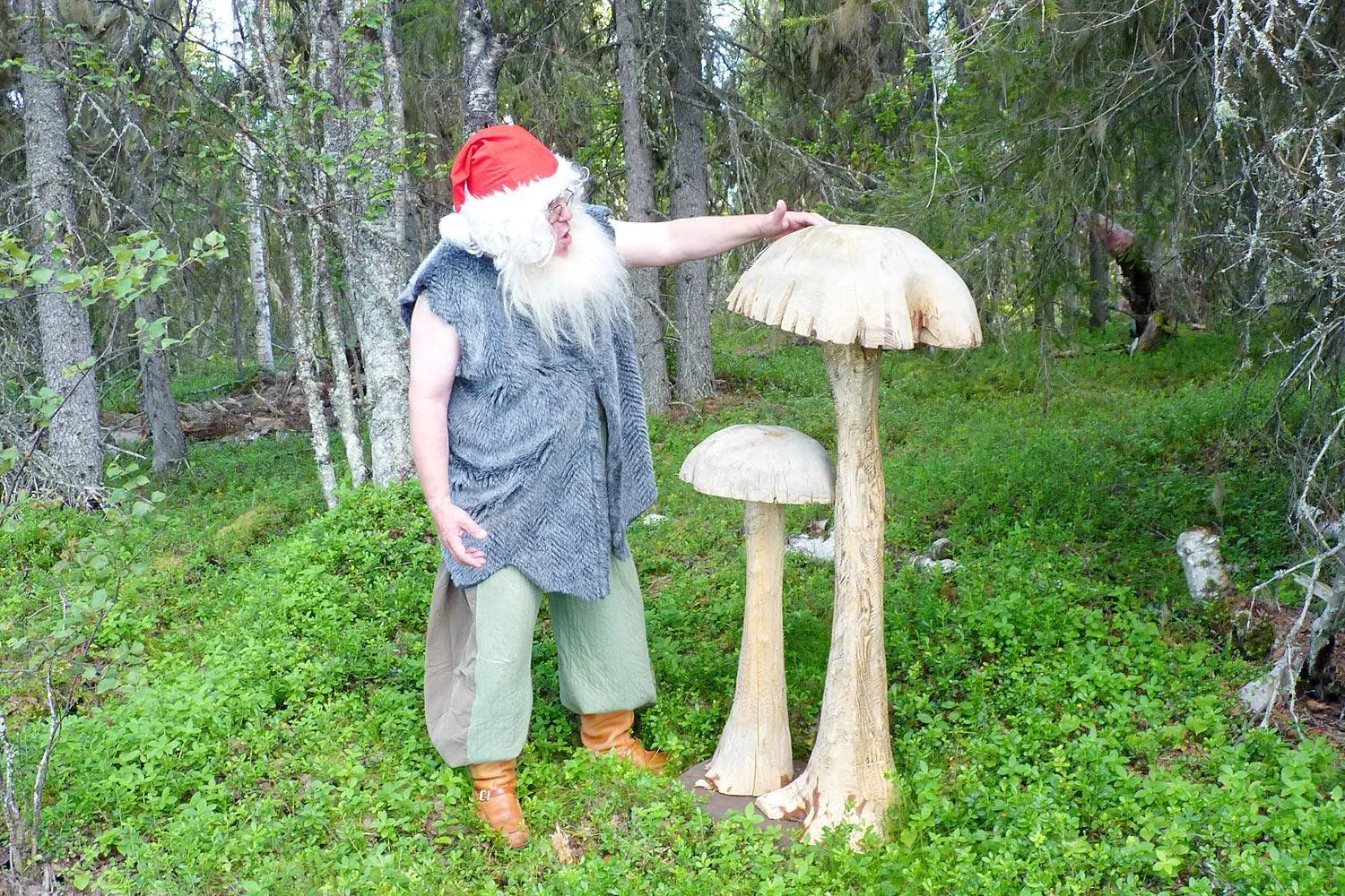 Summer in Elves Village Hotel