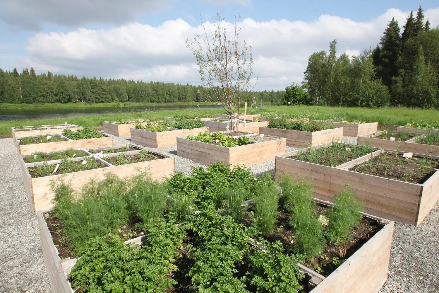 Garden in Elves Village Hotel