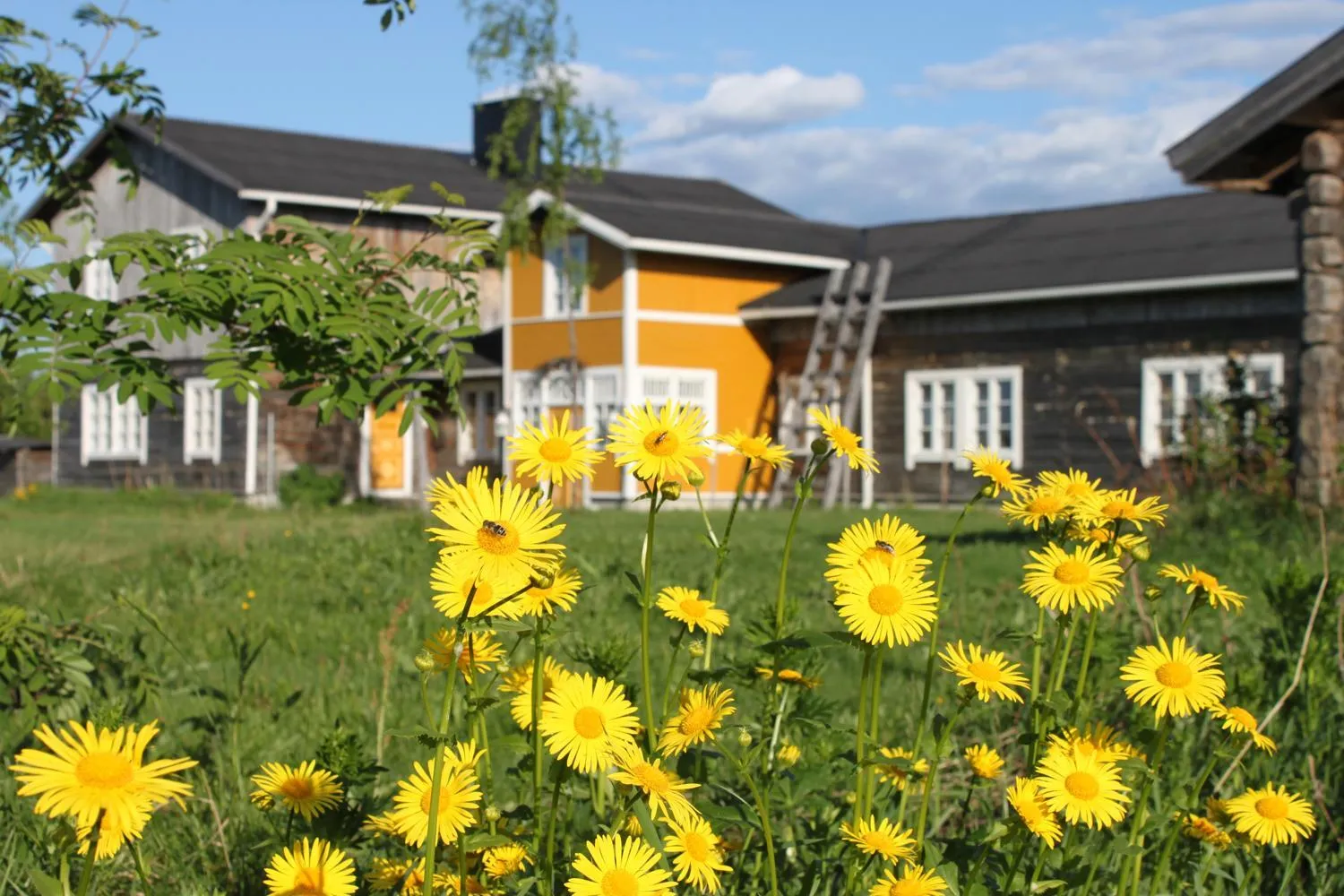 Facade/entrance in Elves Village Hotel