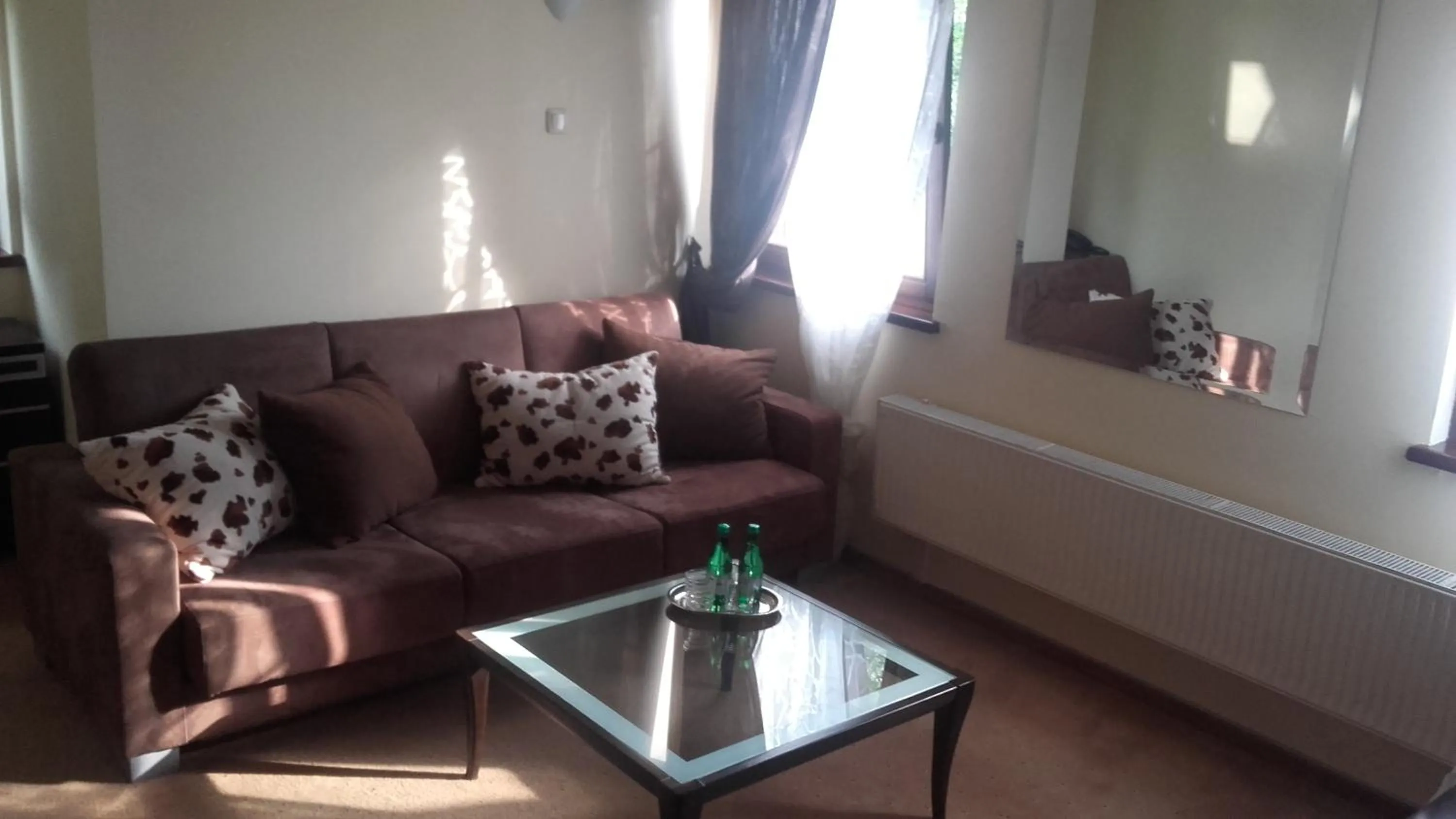 Living room in Willa Silesia