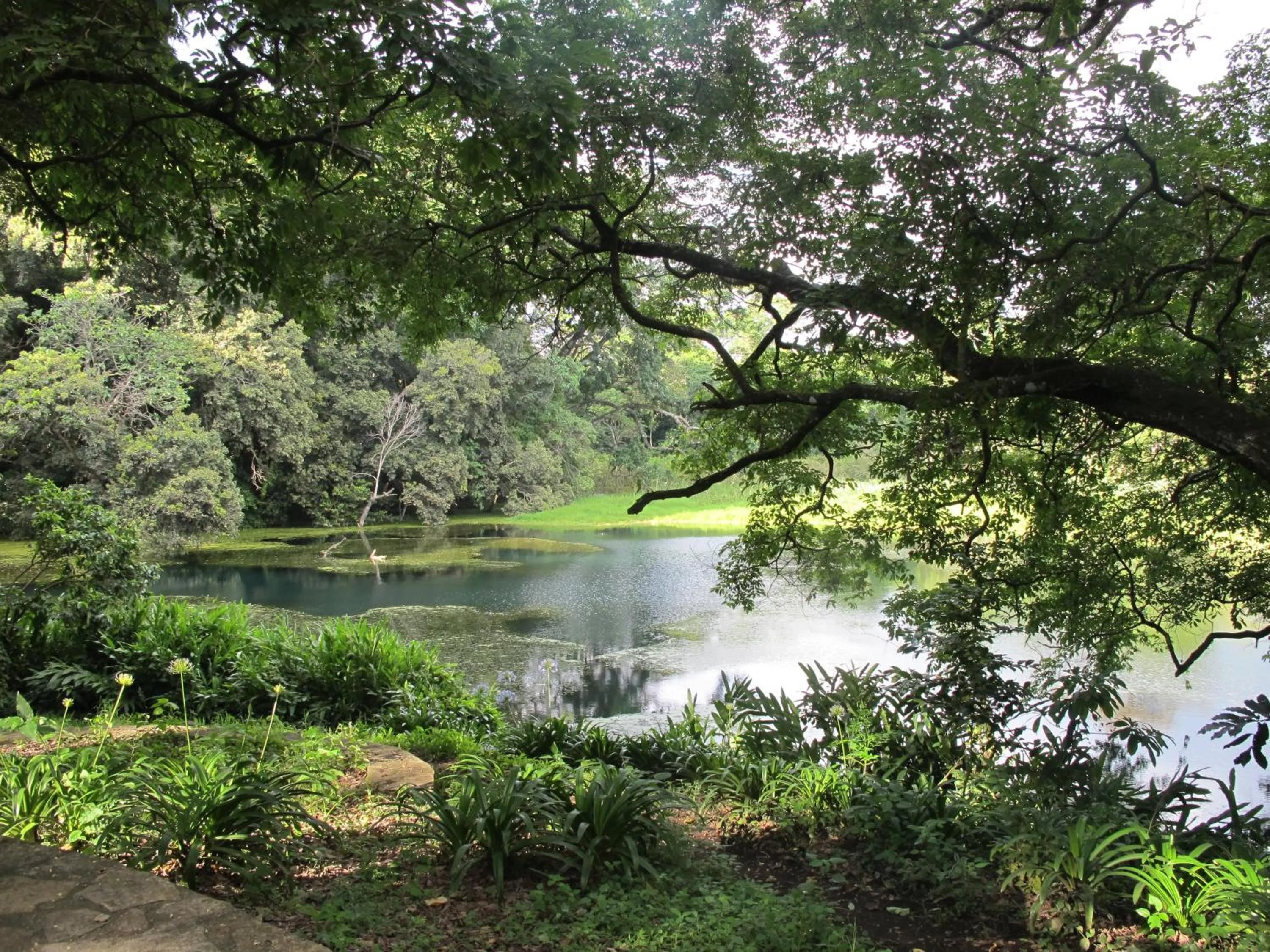 Garden in Ngare Sero Mountain Lodge