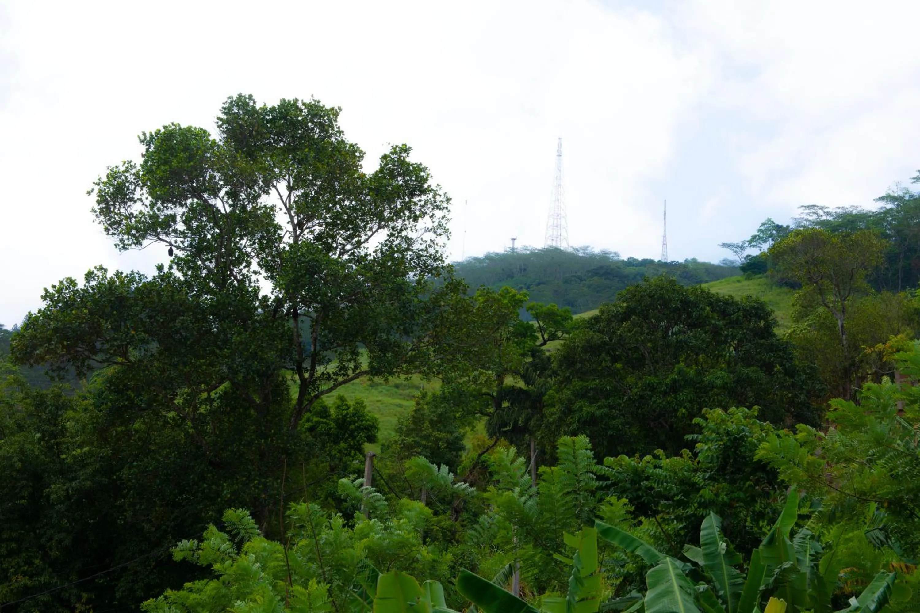 Natural landscape in Peaceful Peak