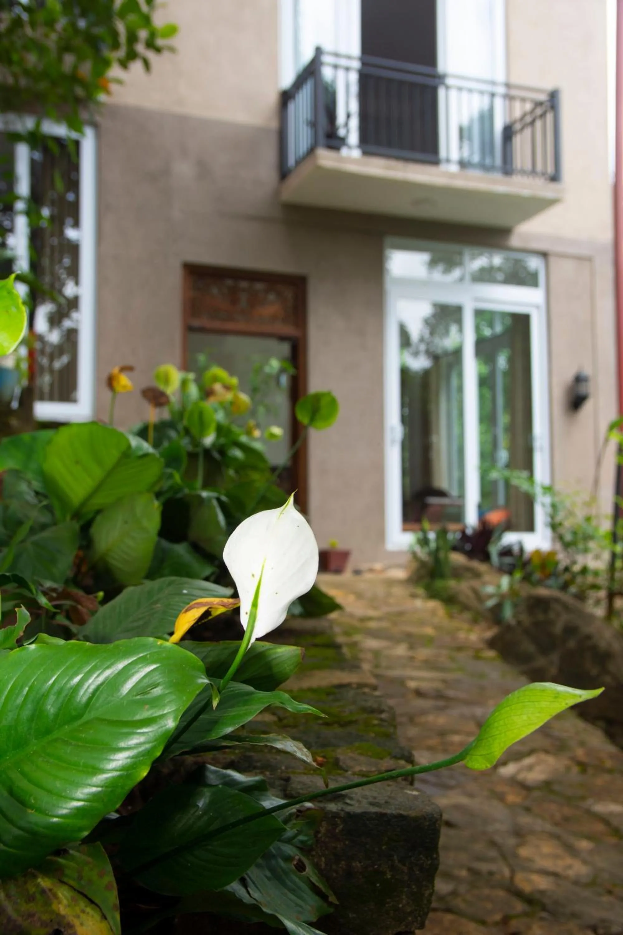 Property building in Peaceful Peak