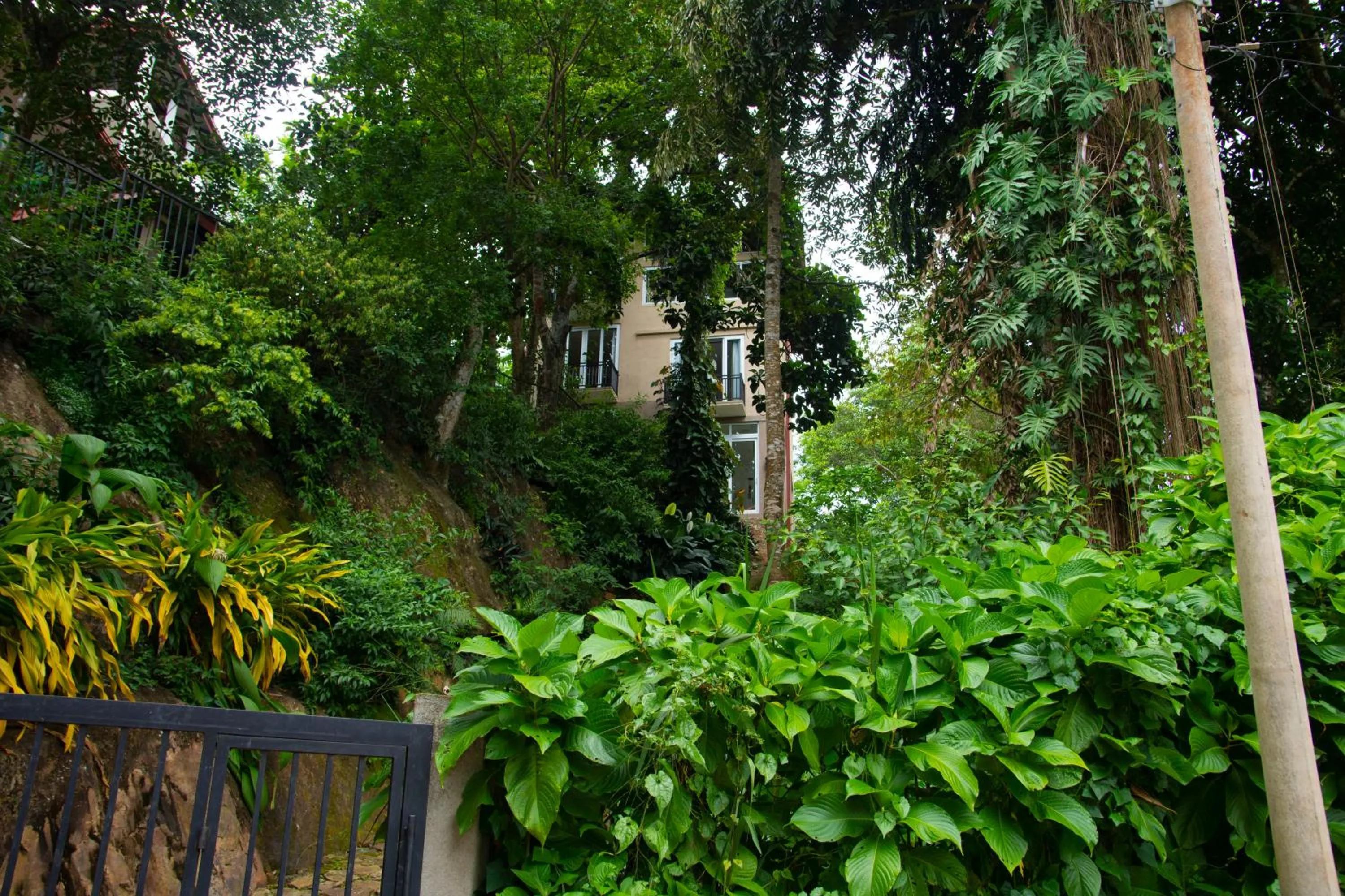 Property building in Peaceful Peak