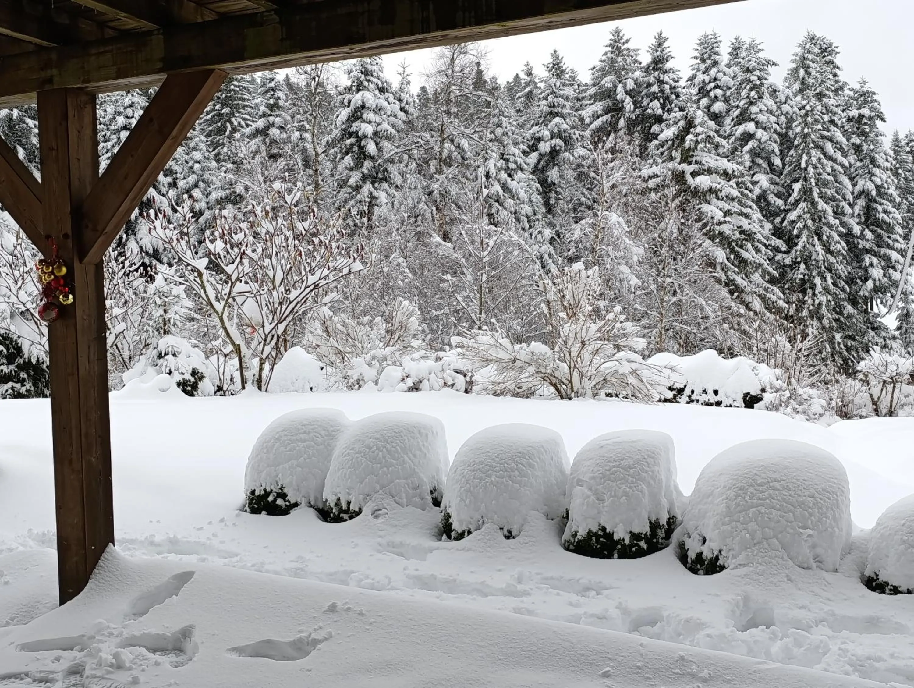 Natural landscape in L'Eden de Floridylle