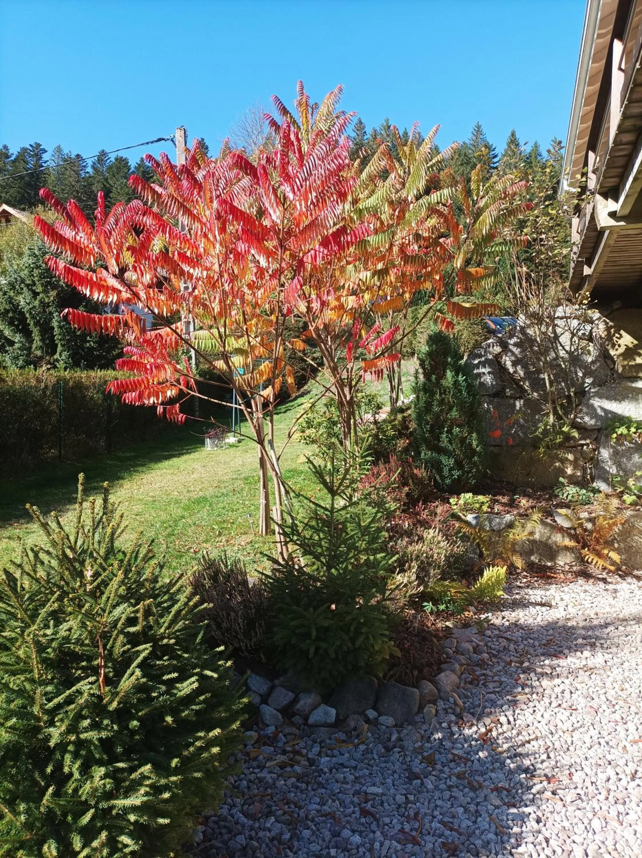 Natural landscape in L'Eden de Floridylle