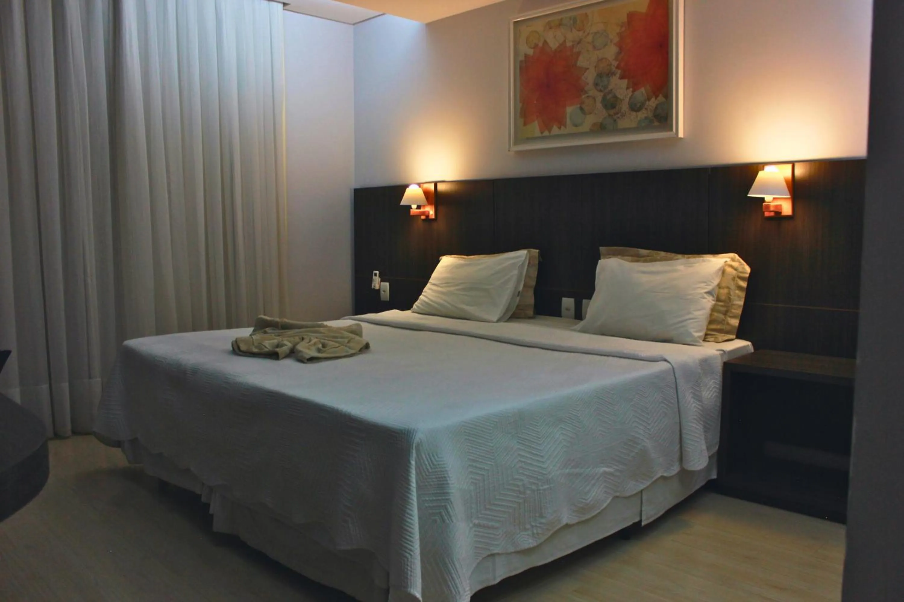 Double Room - single occupancy in Gontijo Inn Hotel