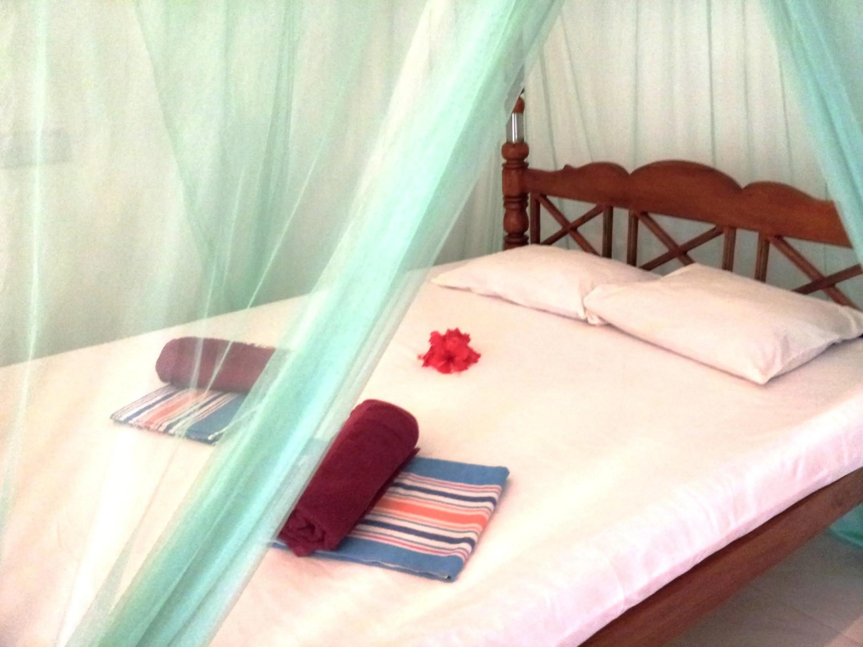 Rainbow Guest House