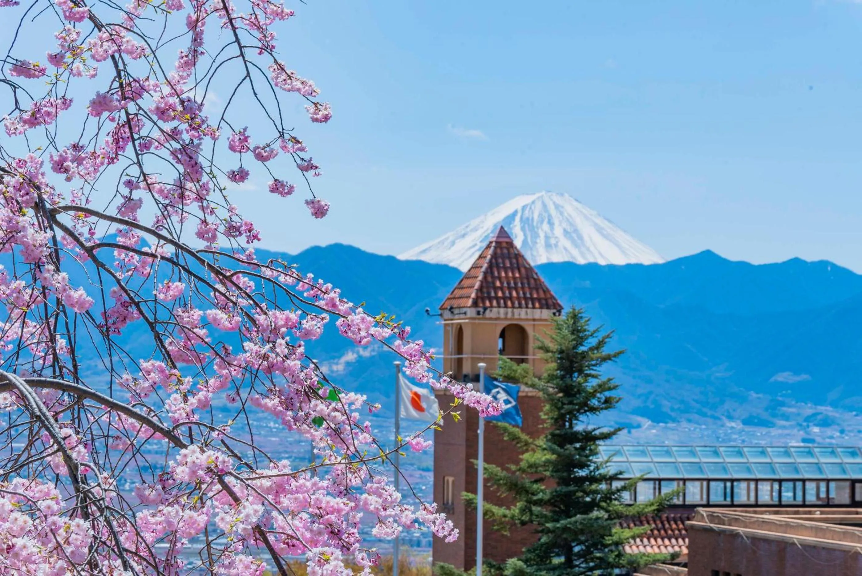 View (from property/room) in Fruit Park Fujiya Hotel