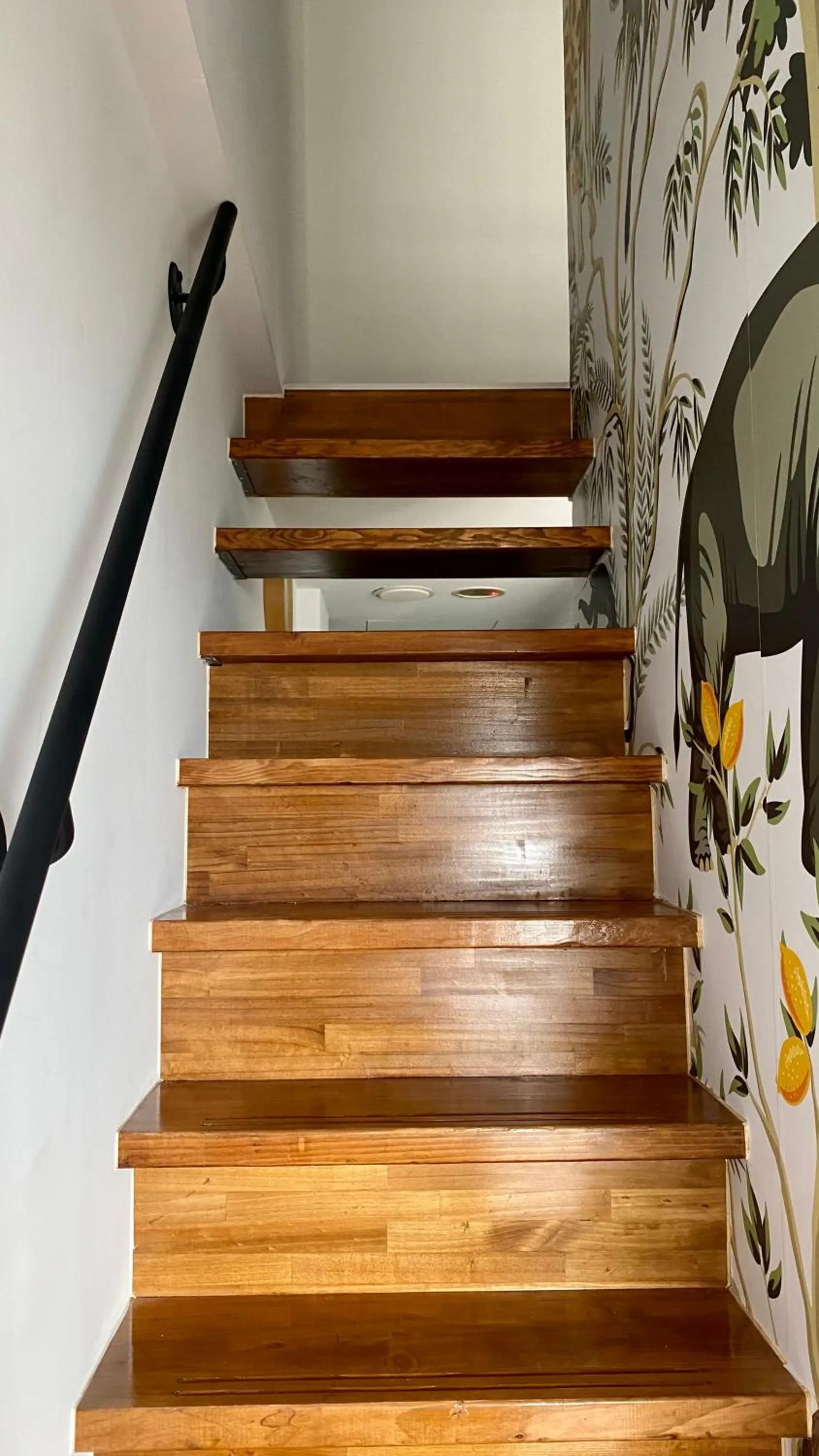 Photo of the whole room in Mini Summer