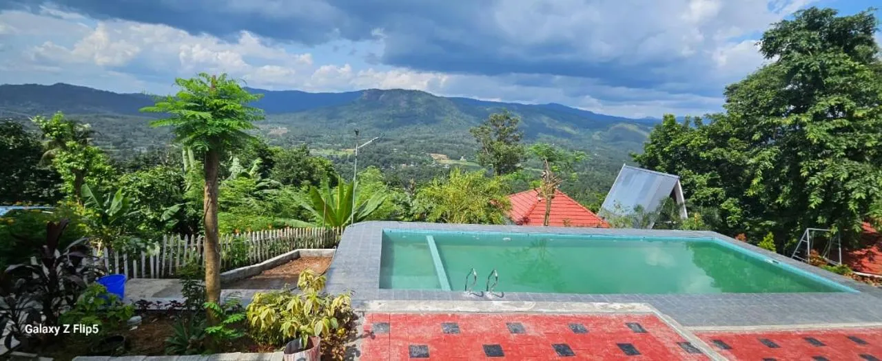 Swimming pool in Mist Farm House