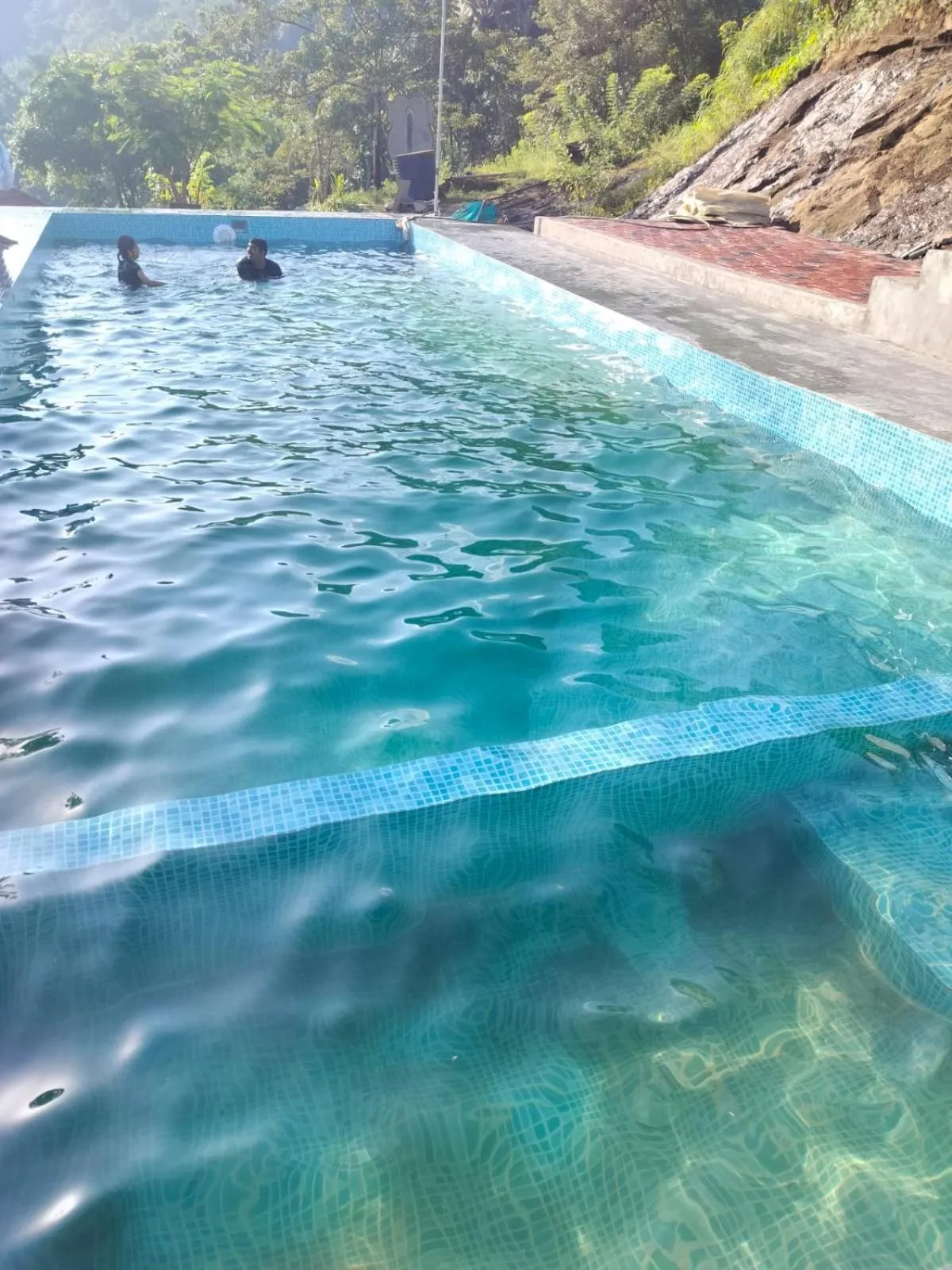 Swimming pool in Mist Farm House