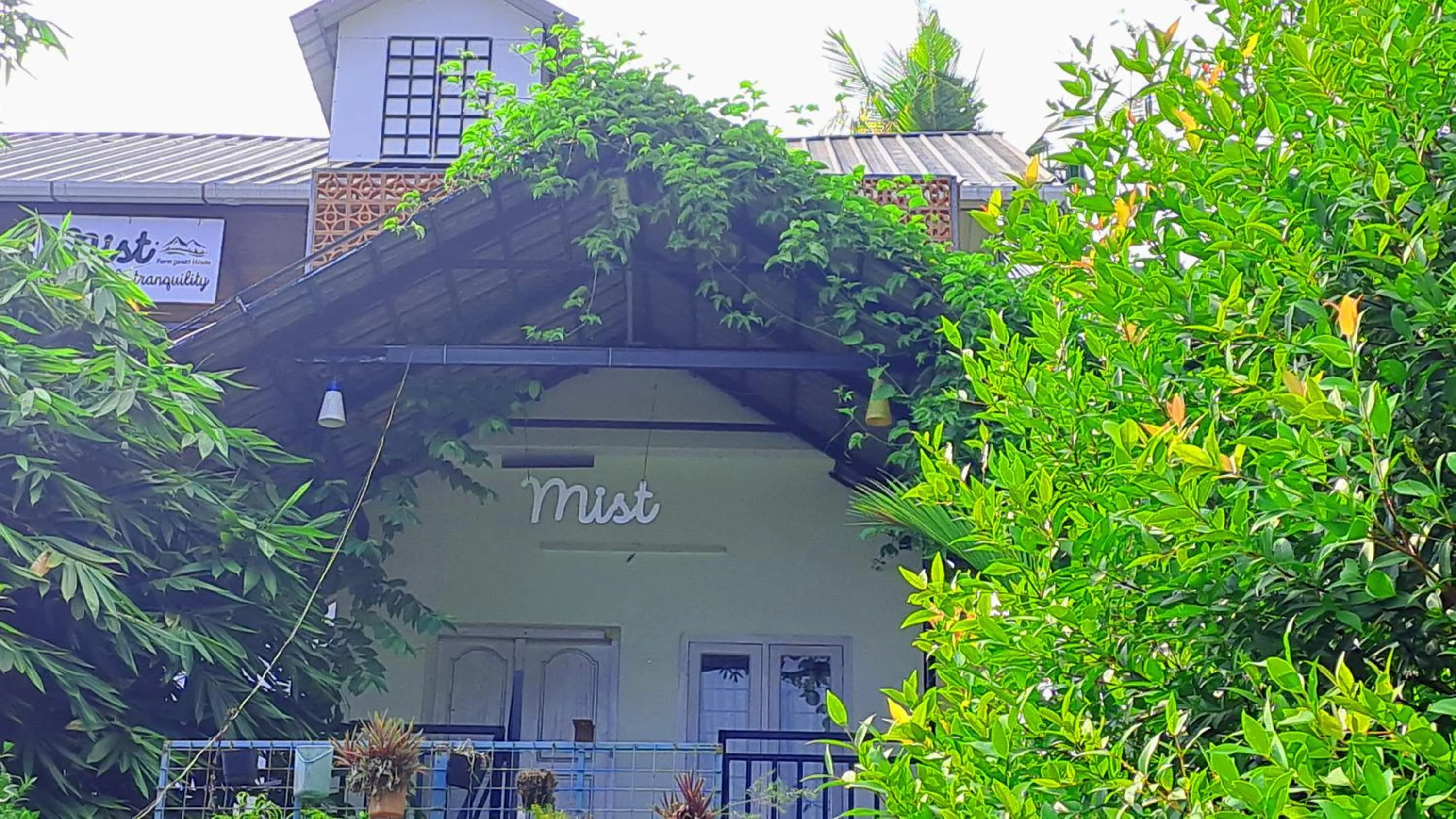 Property building in Mist Farm House