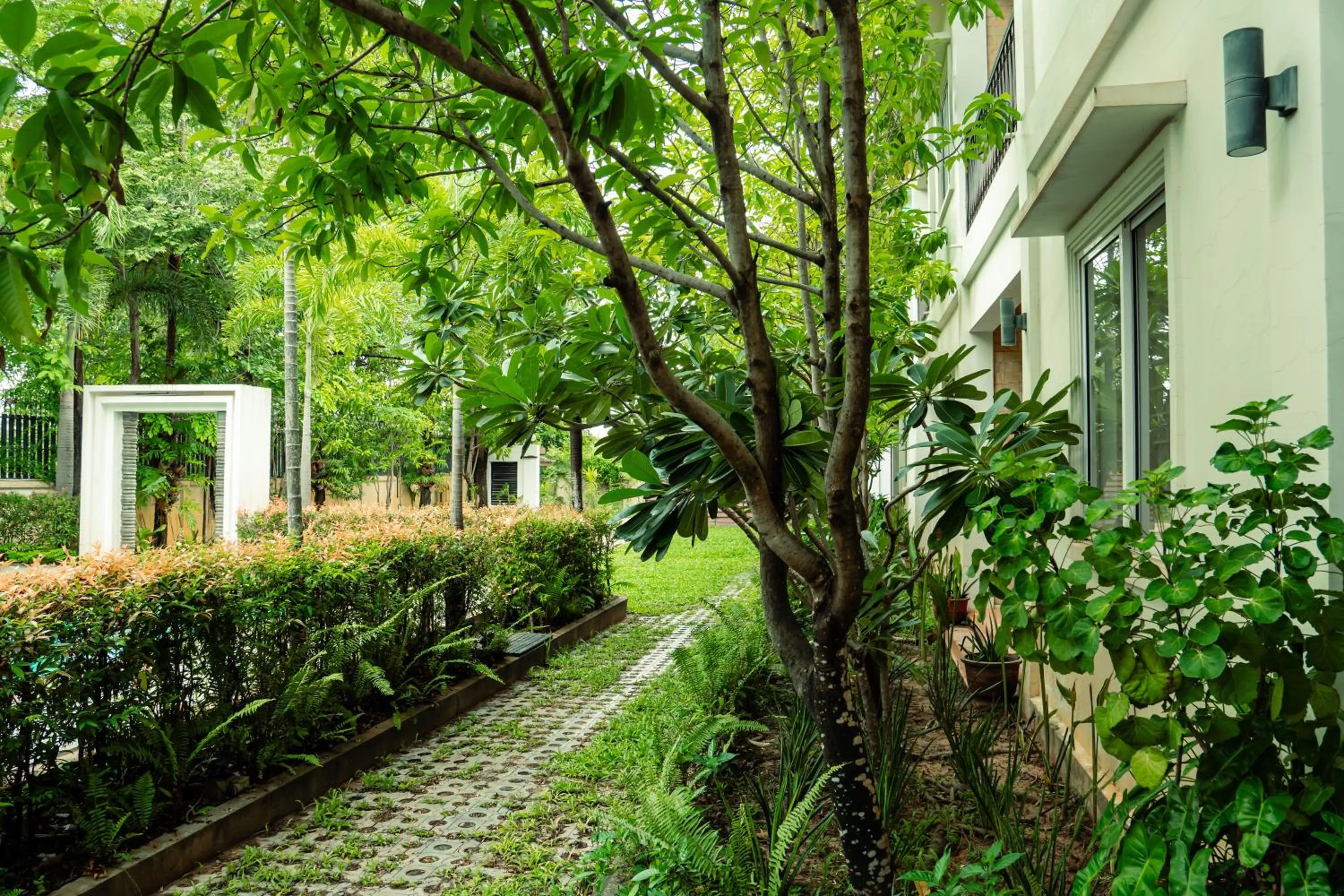 Natural landscape in Siemreap Green Residence