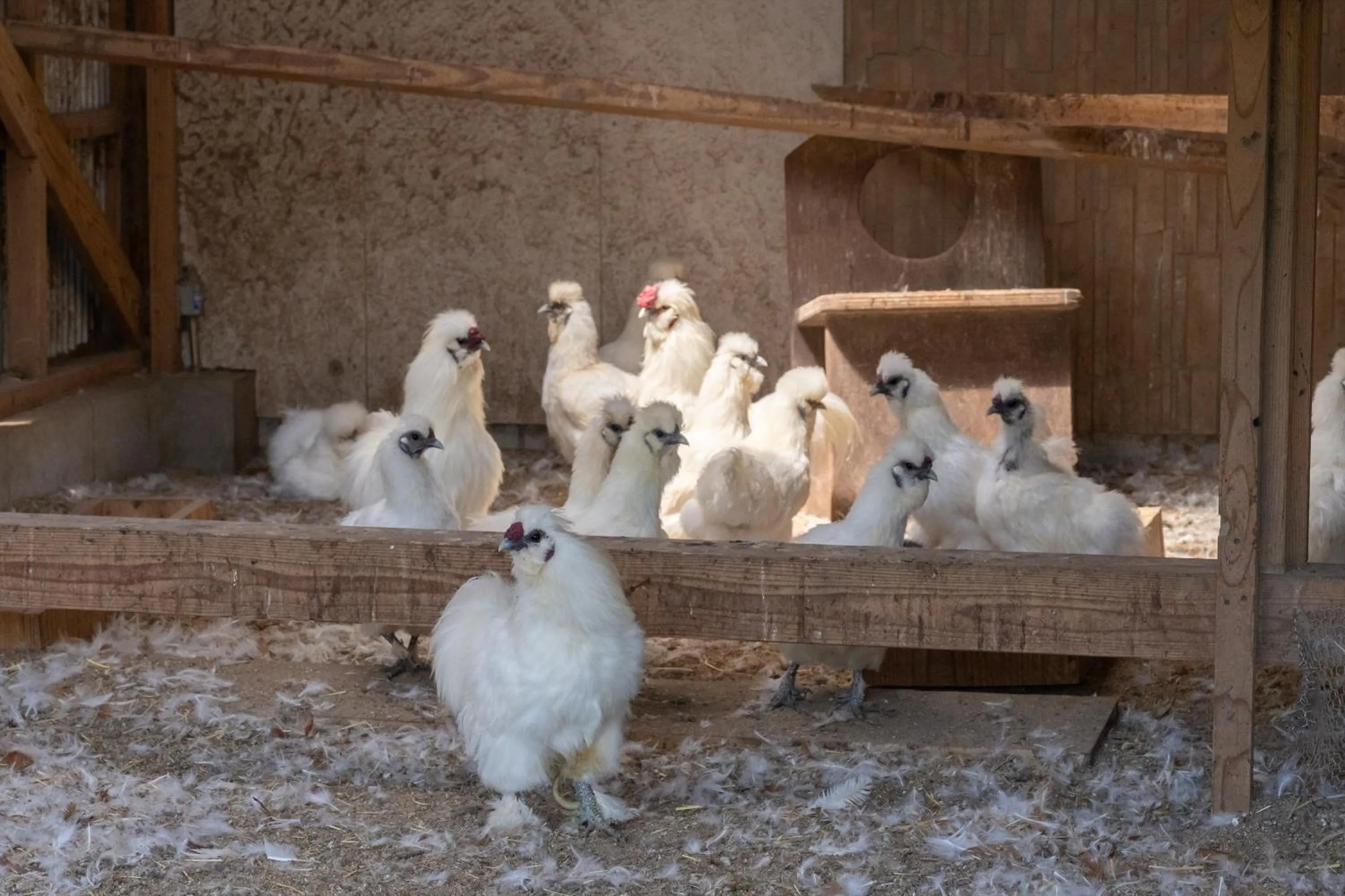 Off site in Tsuwabuki no Hana