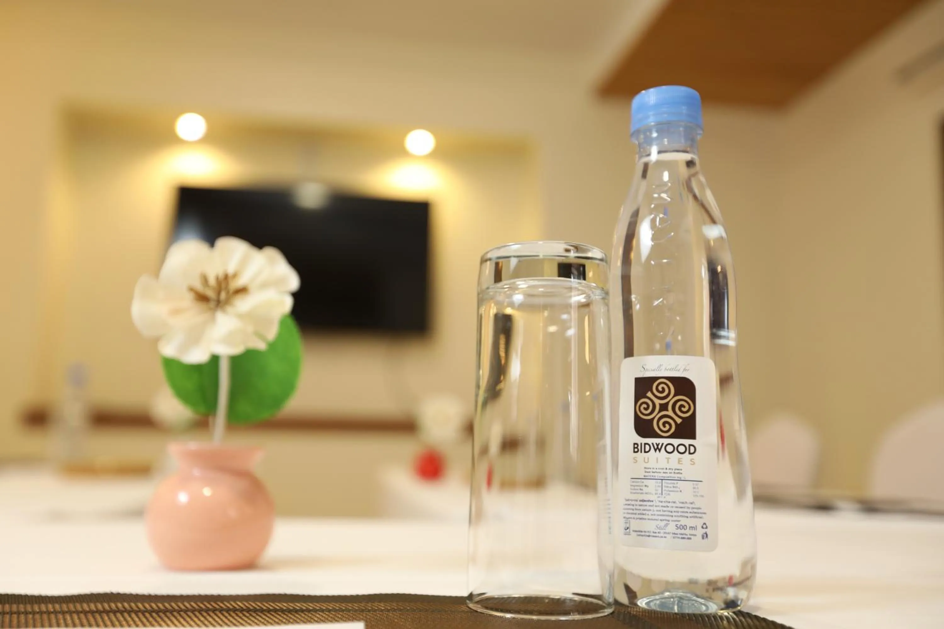 TV and multimedia in Bidwood Suite Hotel