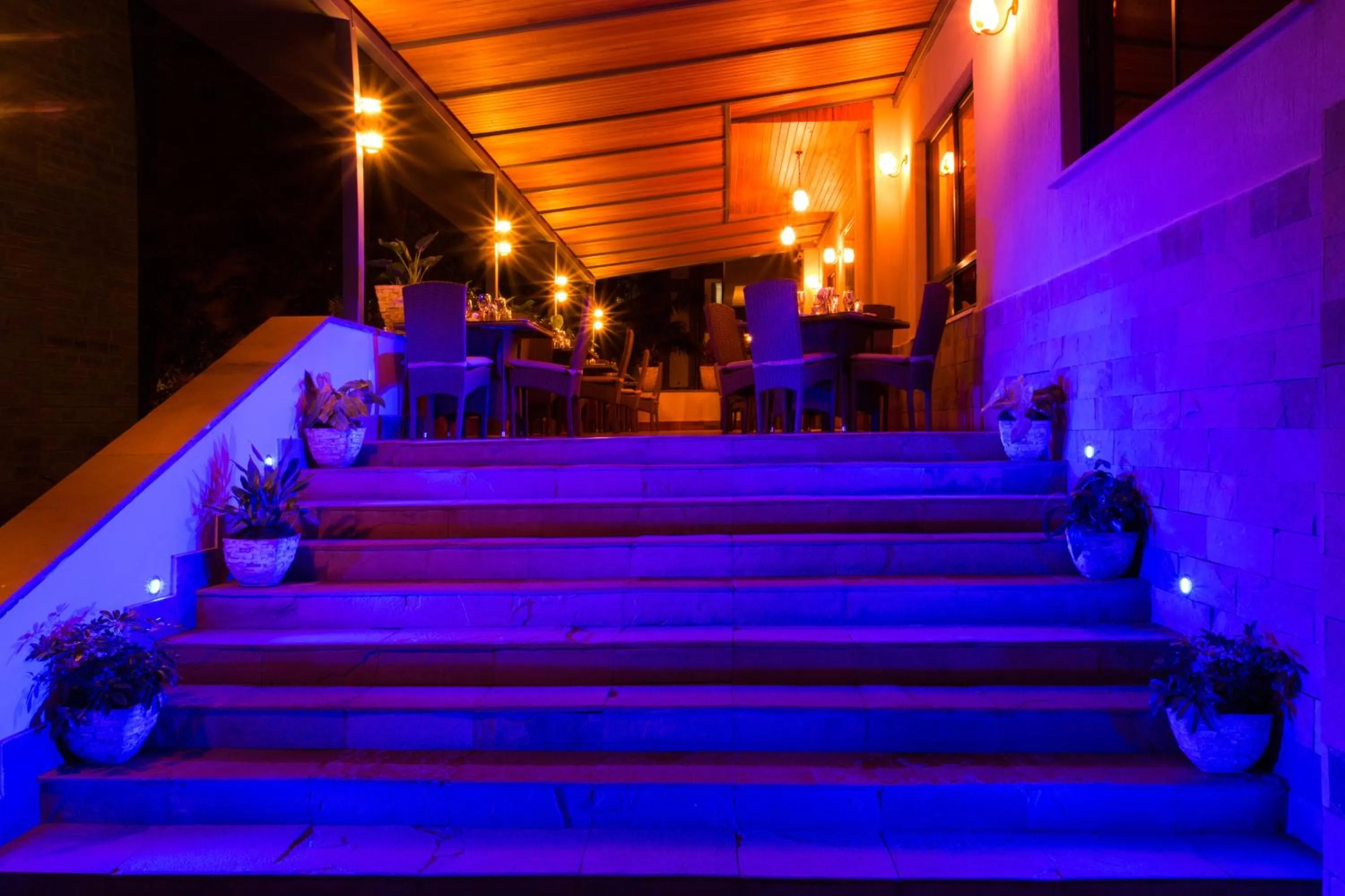 Night in Bidwood Suite Hotel