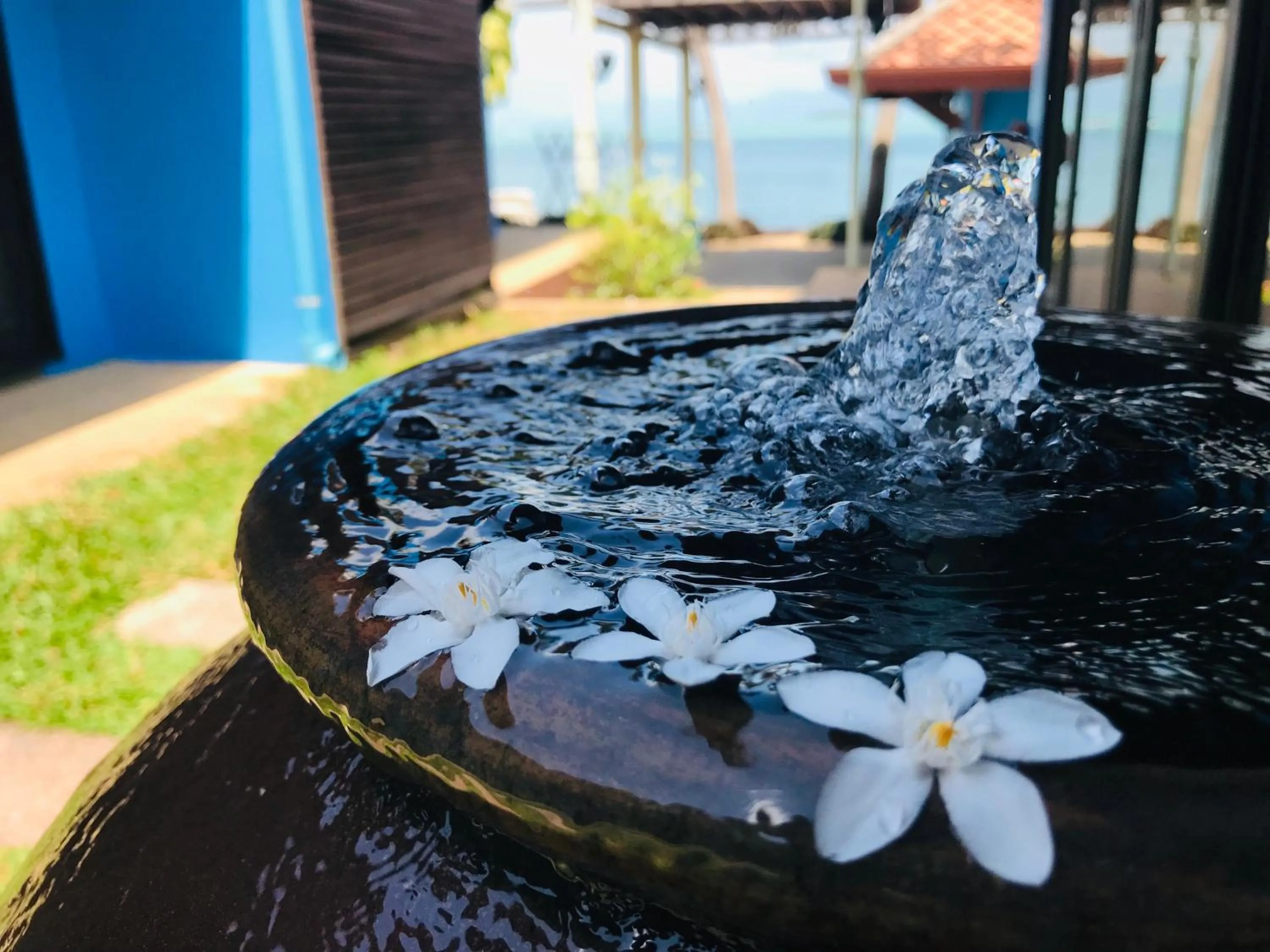 Natural landscape in The Shore Samui