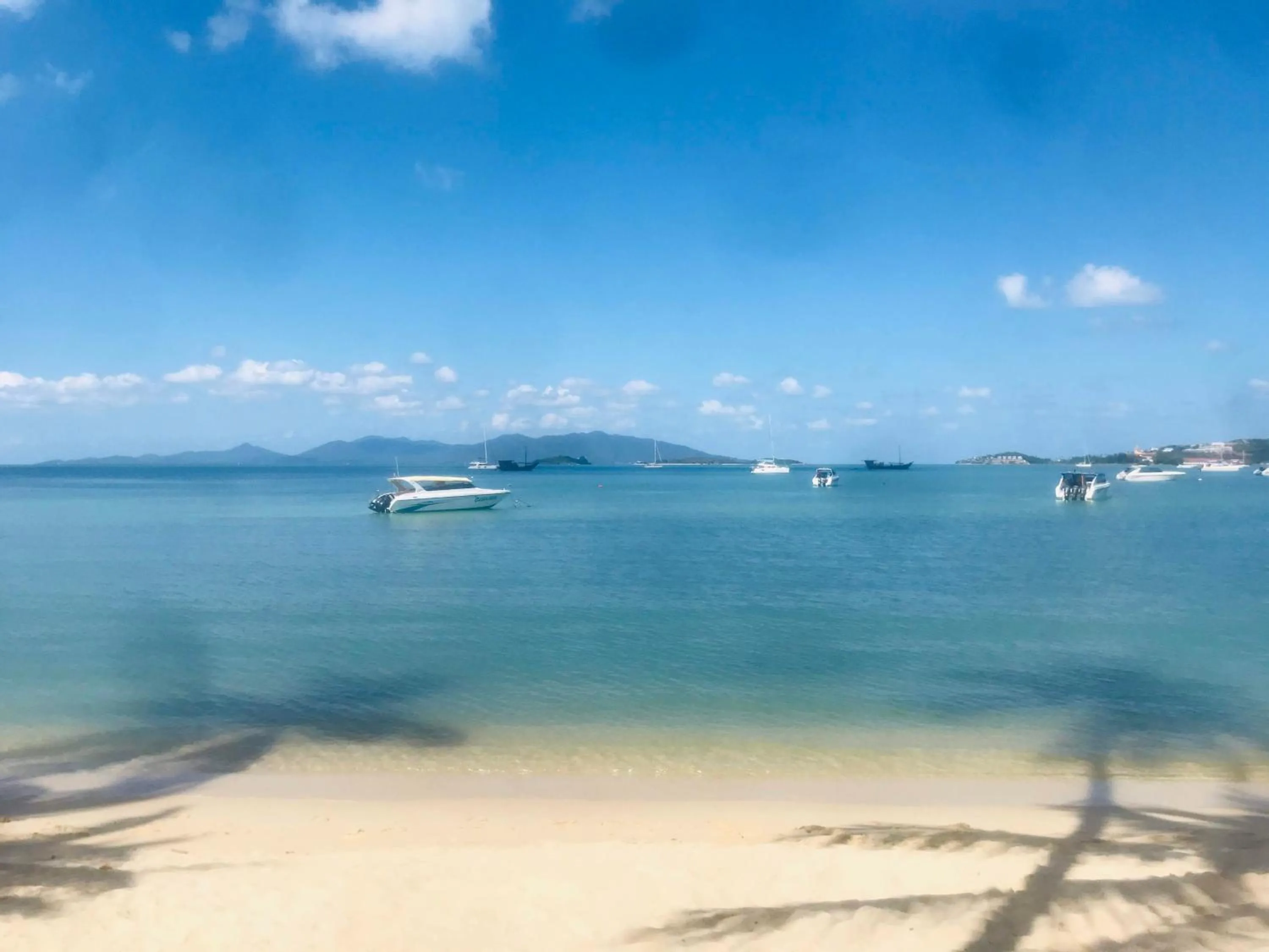 Natural landscape in The Shore Samui