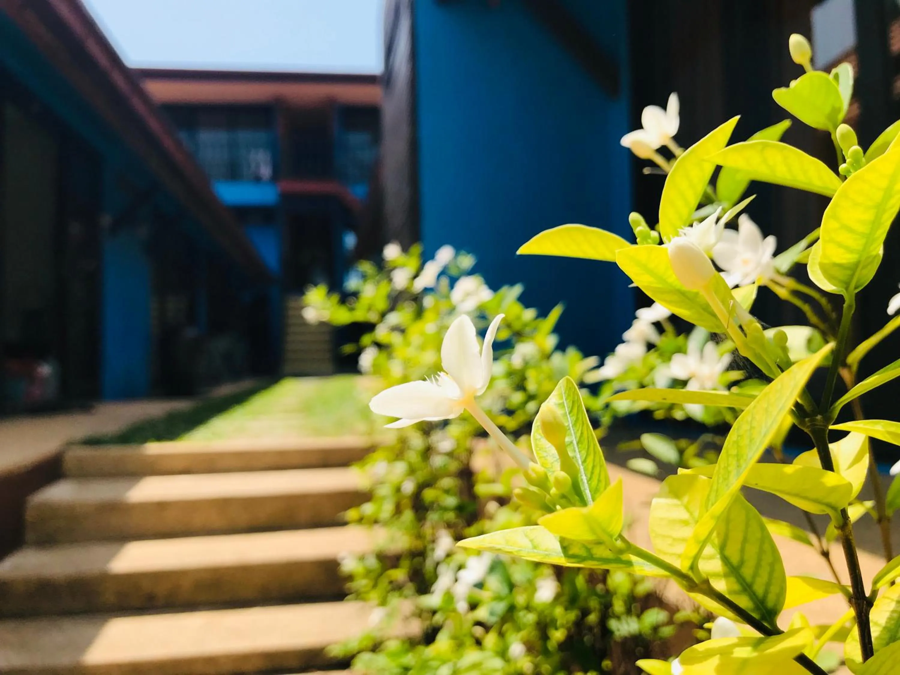 Natural landscape in The Shore Samui