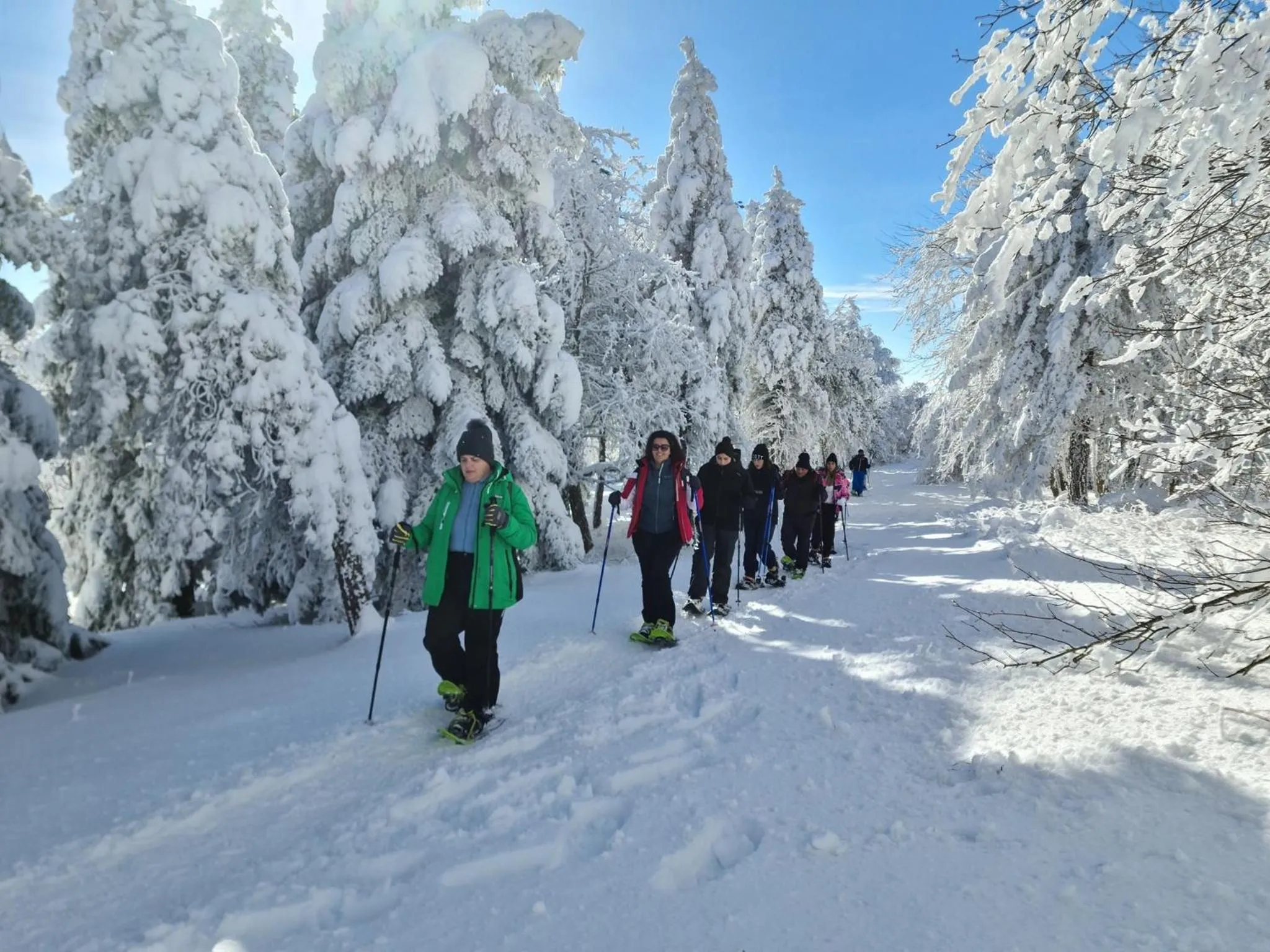 Activities in Albergo Conte Max