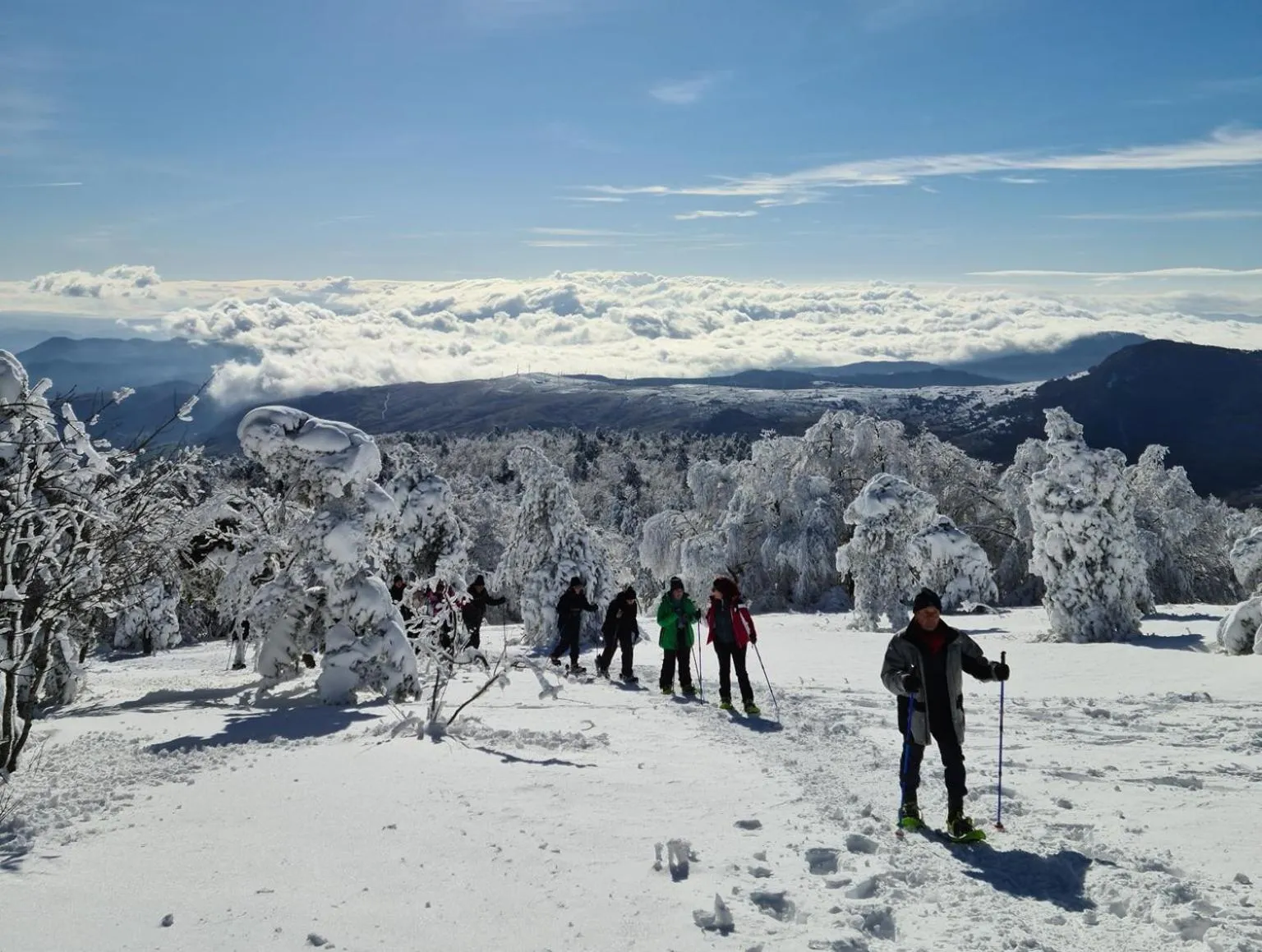 Activities in Albergo Conte Max