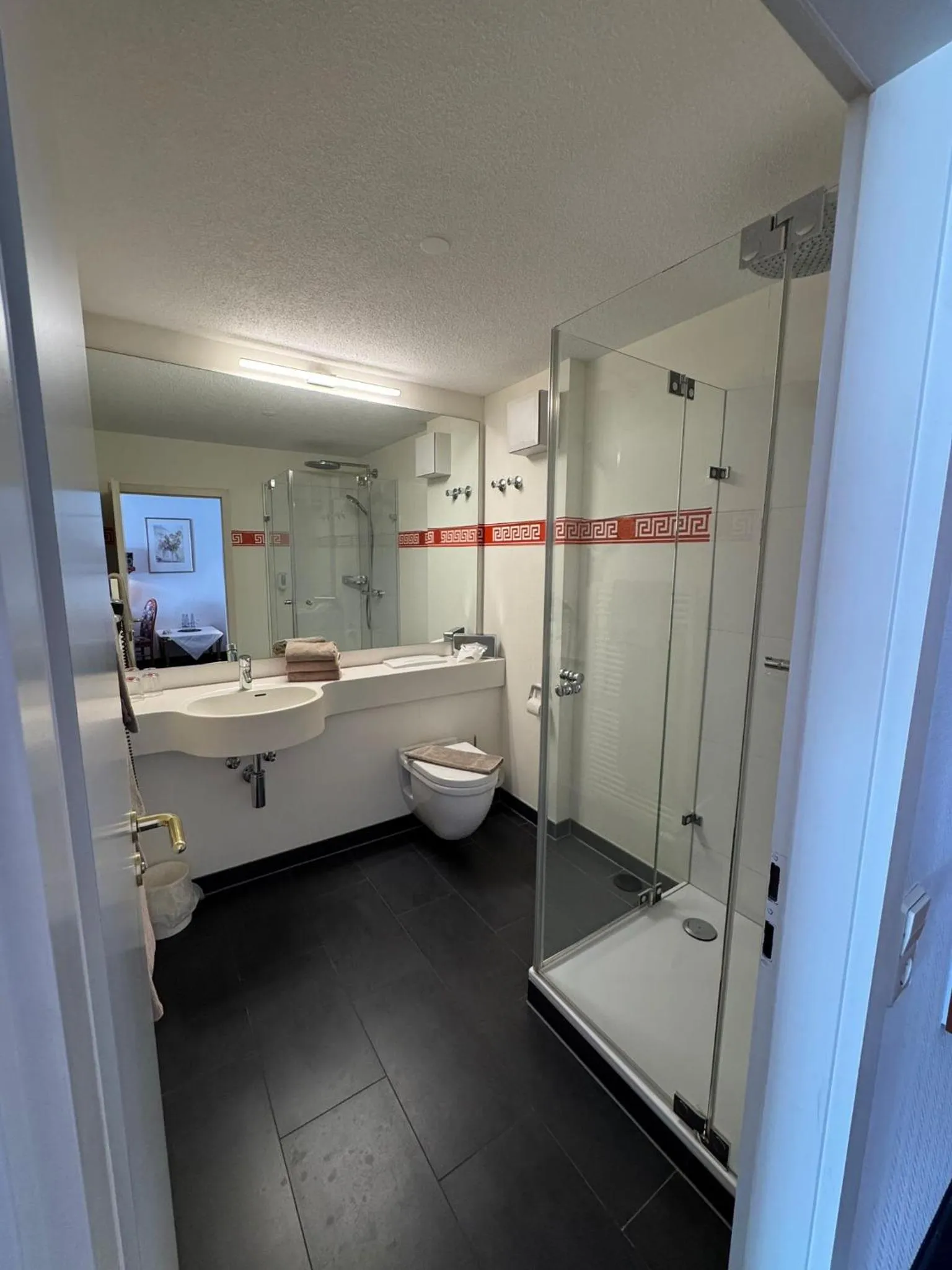 Shower in Hotel-Restaurant Schwanen