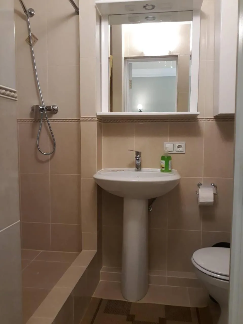Toilet in Main Street Apartments