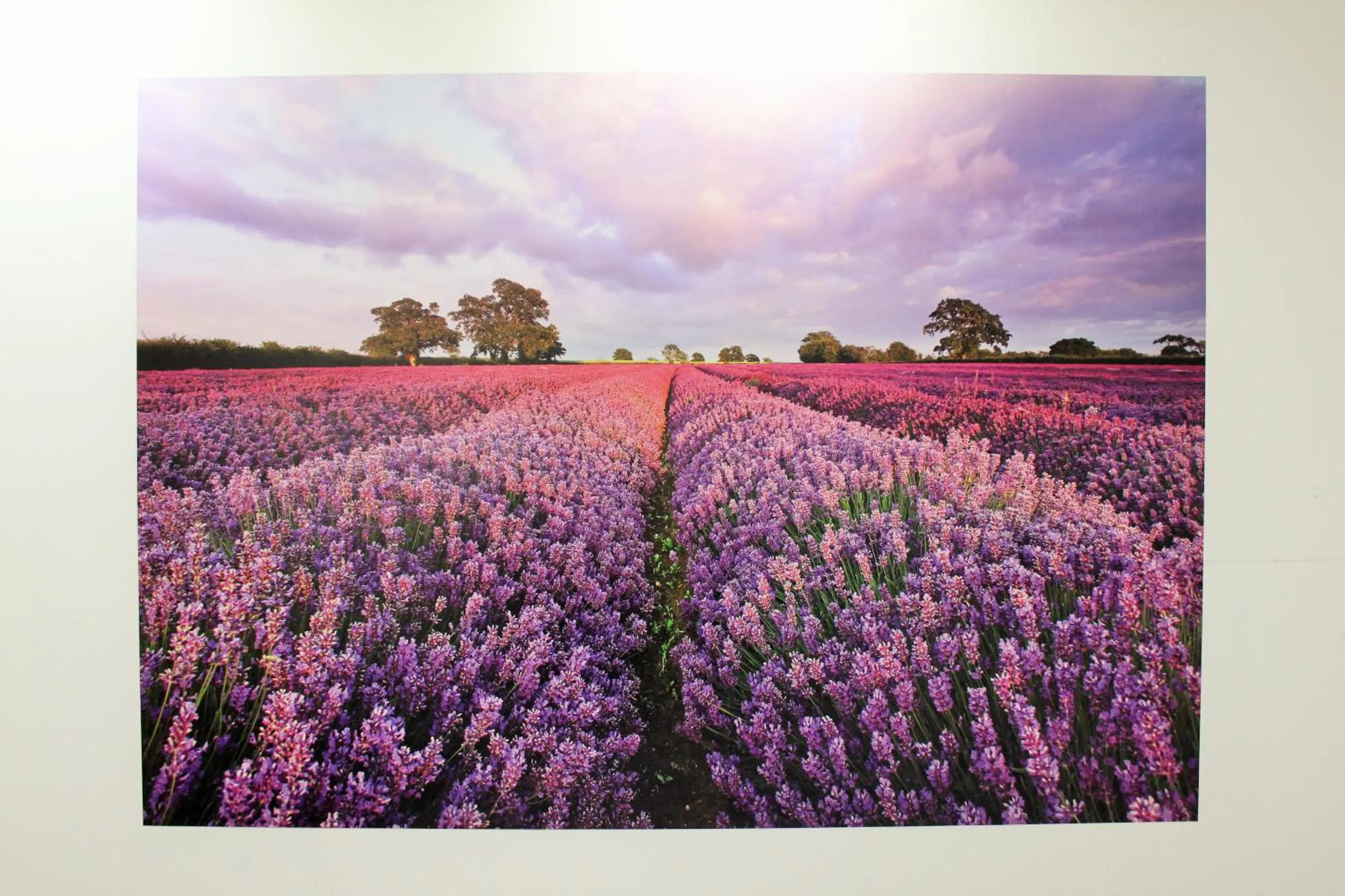 Other in Luwiana Suites