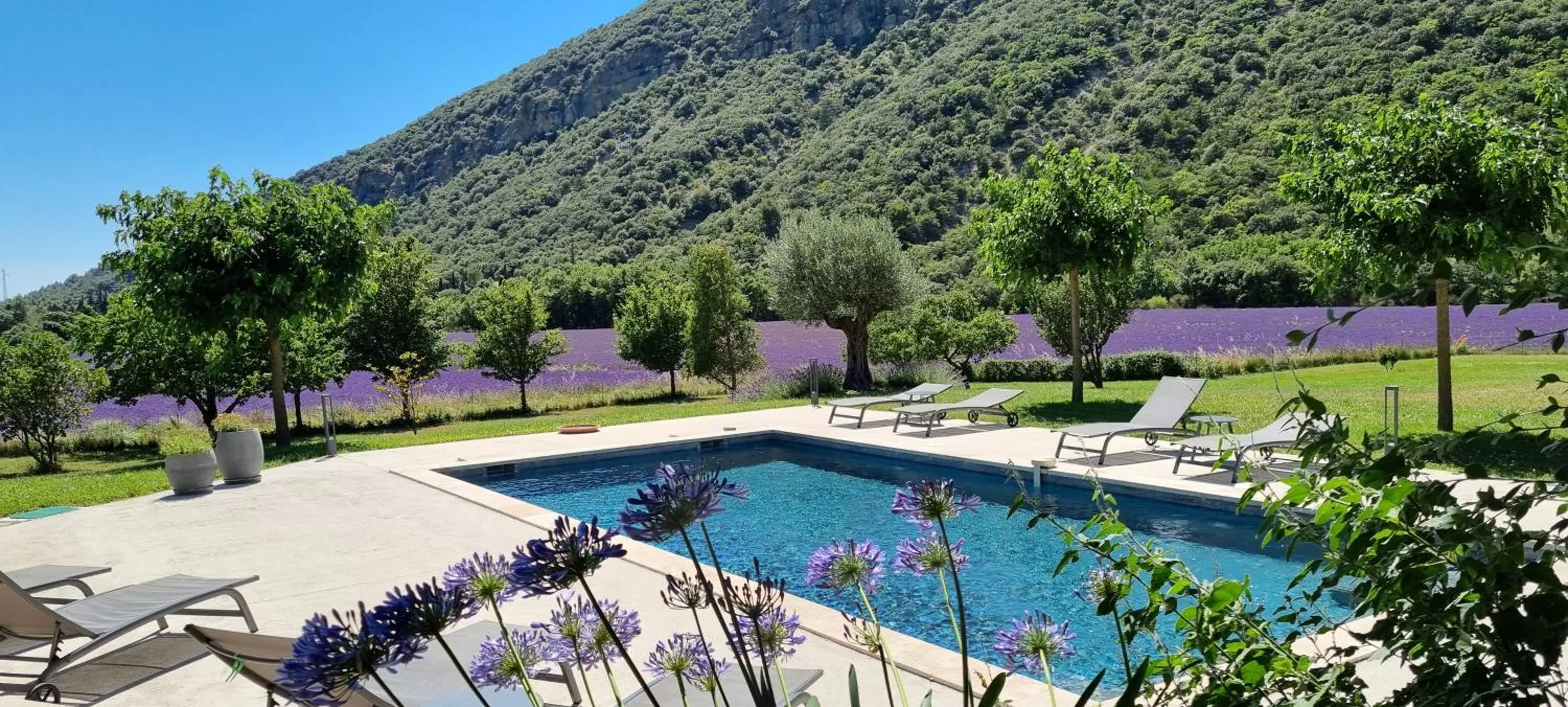Pool view in Mas De La Lance