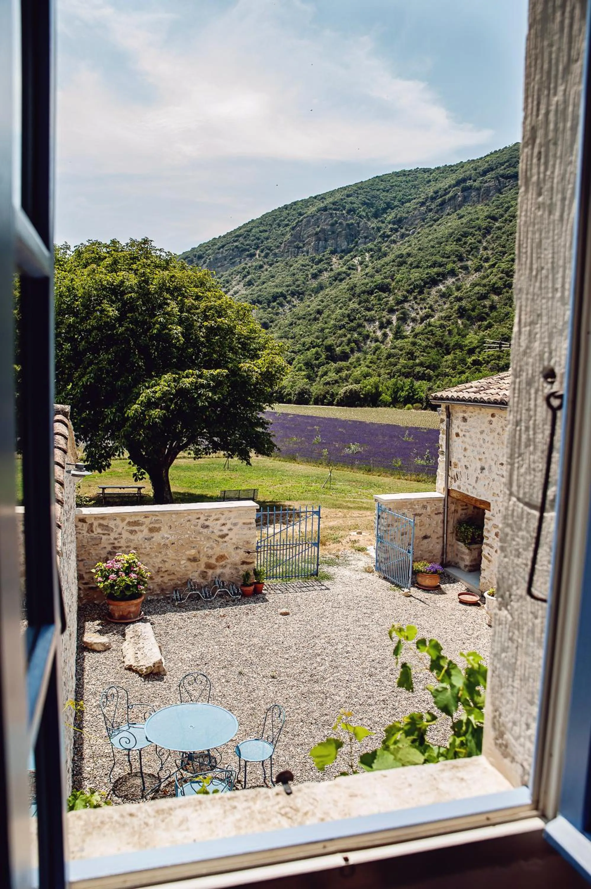 Garden view in Mas De La Lance