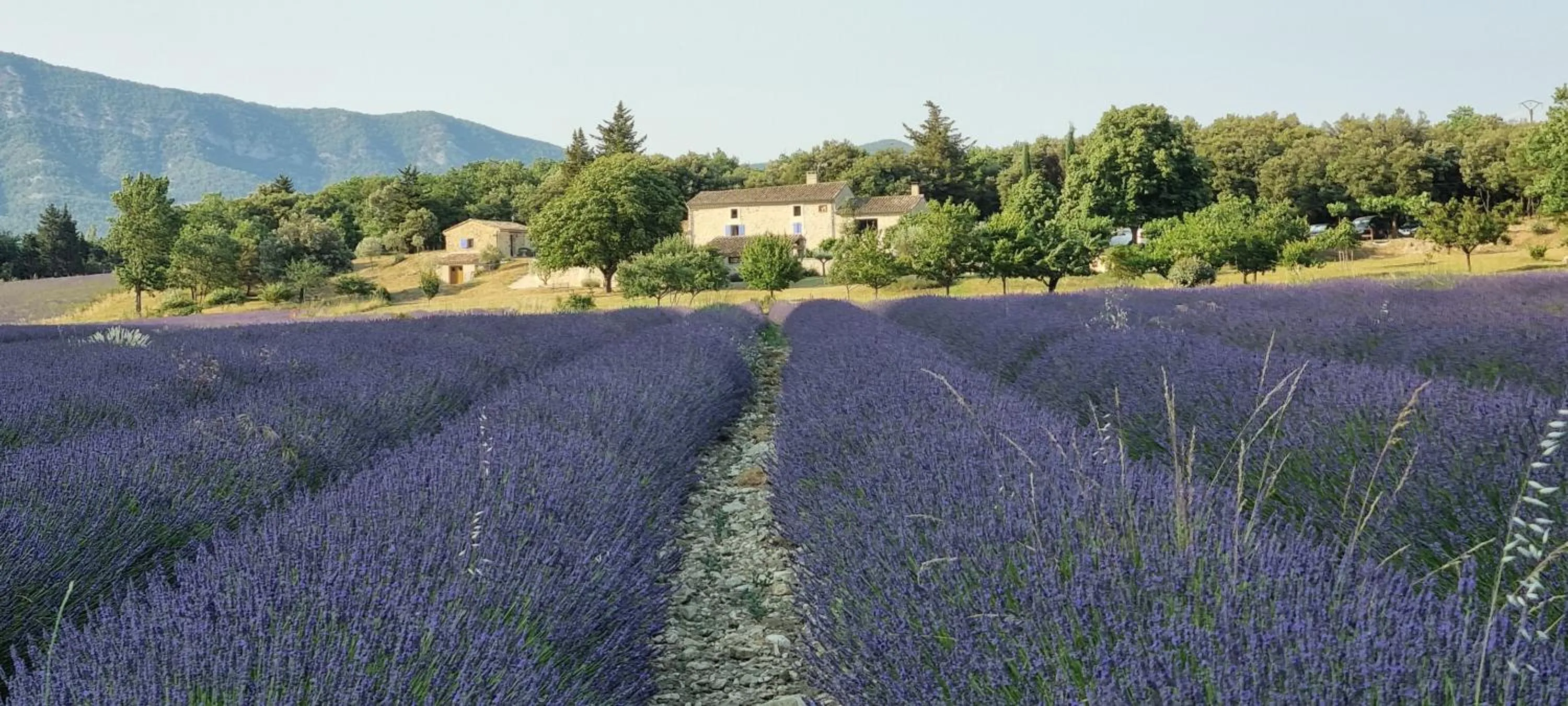 Property building in Mas De La Lance