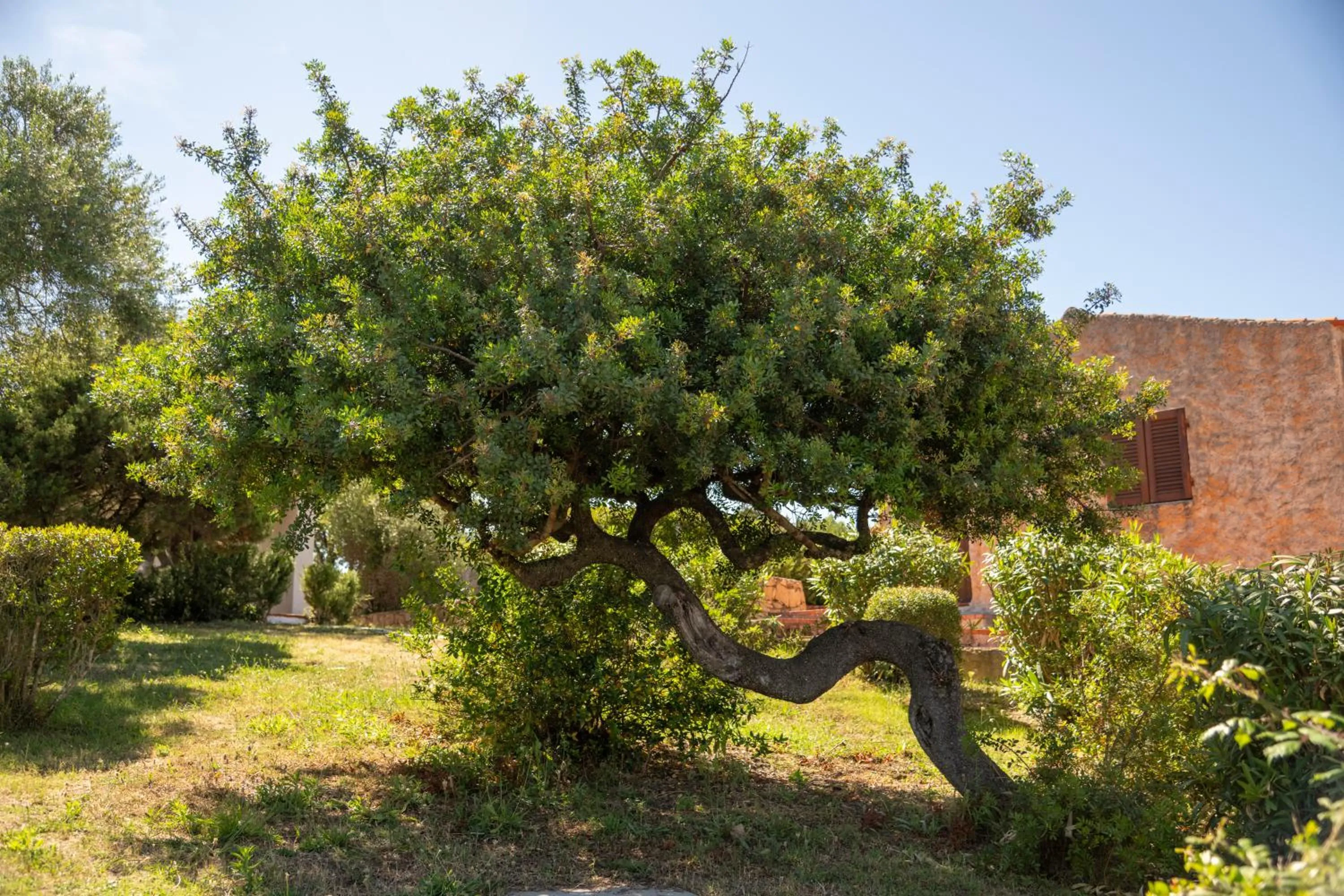 Natural landscape in AHR Altura Hotel Porto Rafael