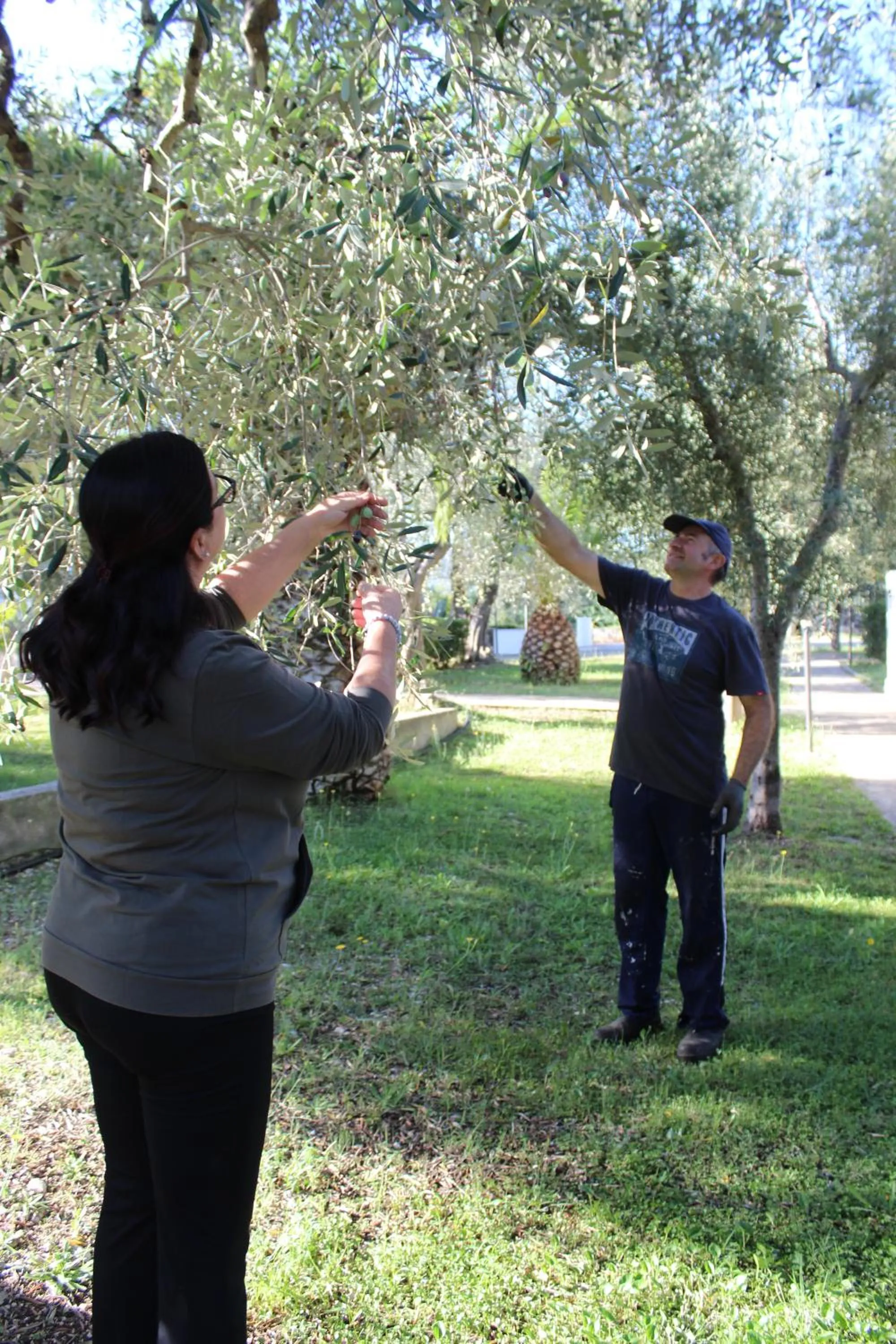 Natural landscape in Hotel Palme Gemelle