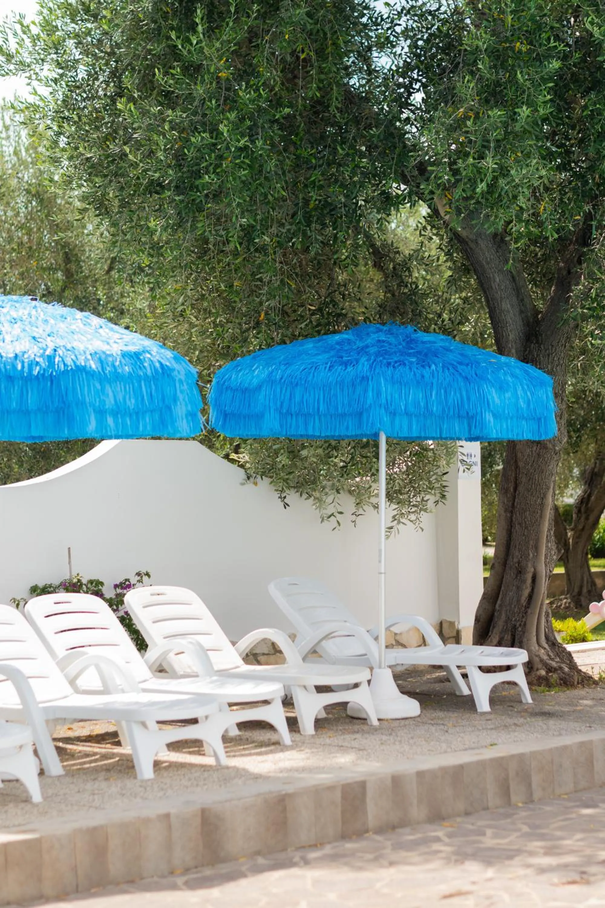 Garden in Hotel Palme Gemelle