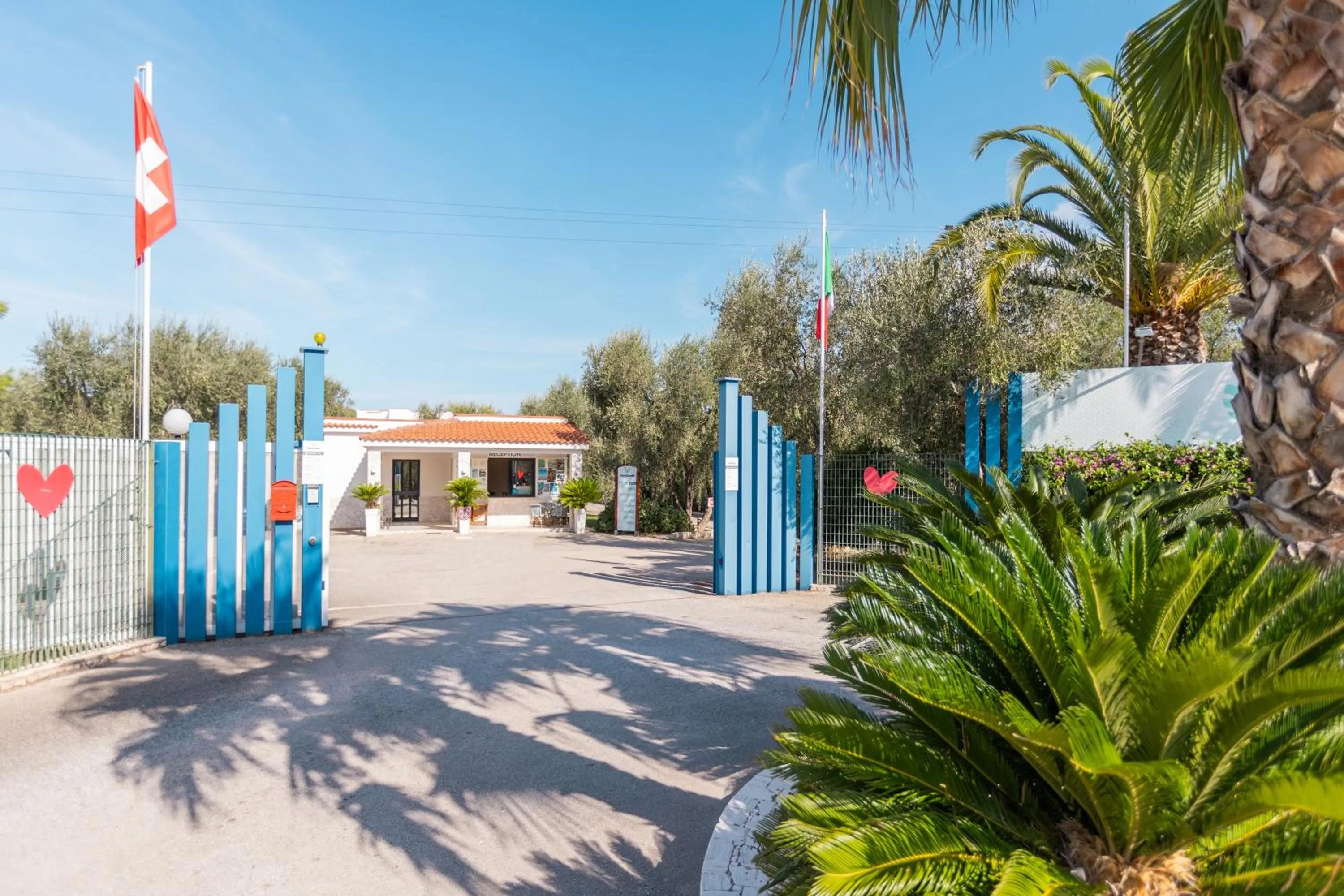 Facade/entrance in Hotel Palme Gemelle