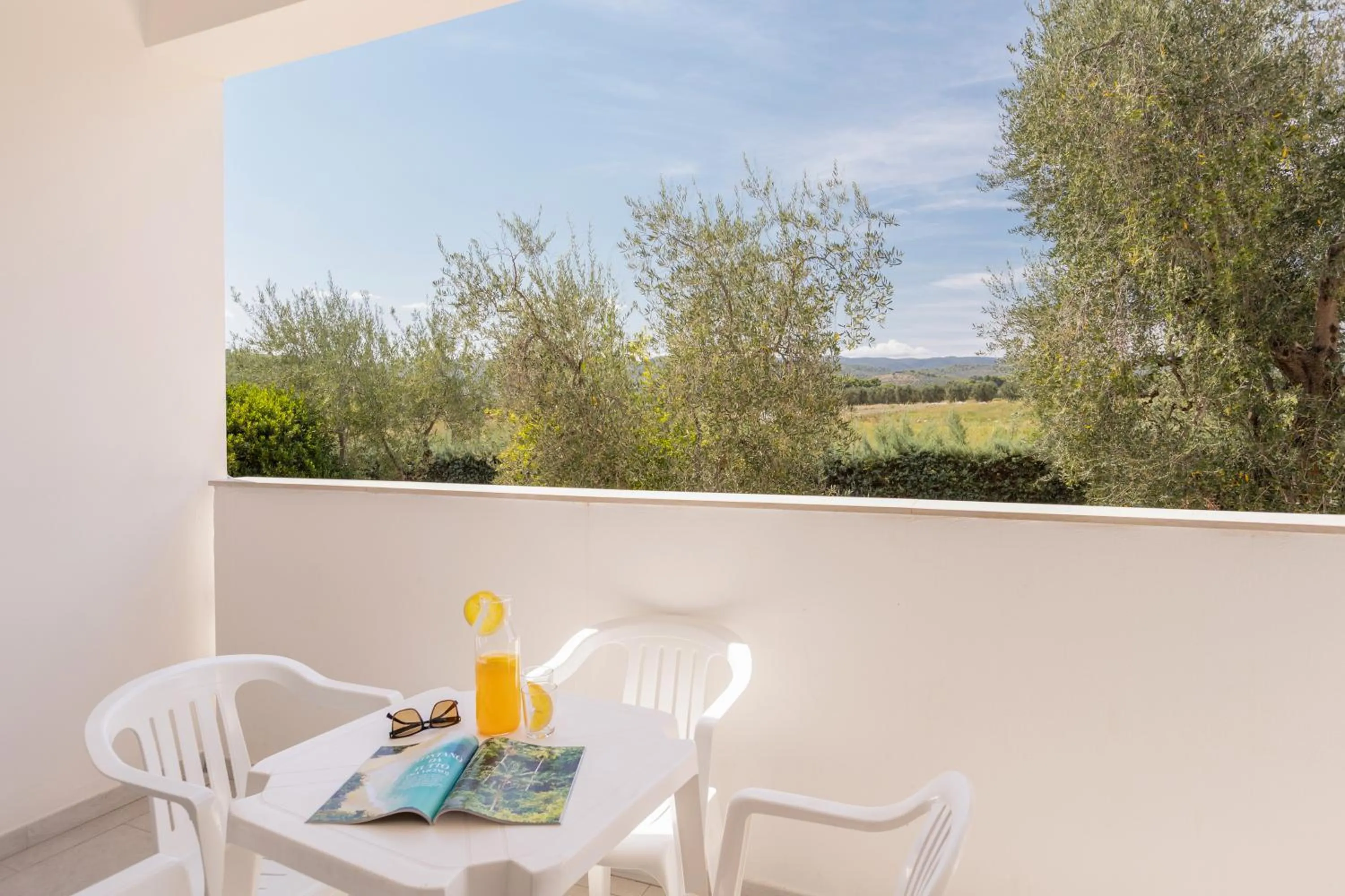 Double or Twin Room in Hotel Palme Gemelle