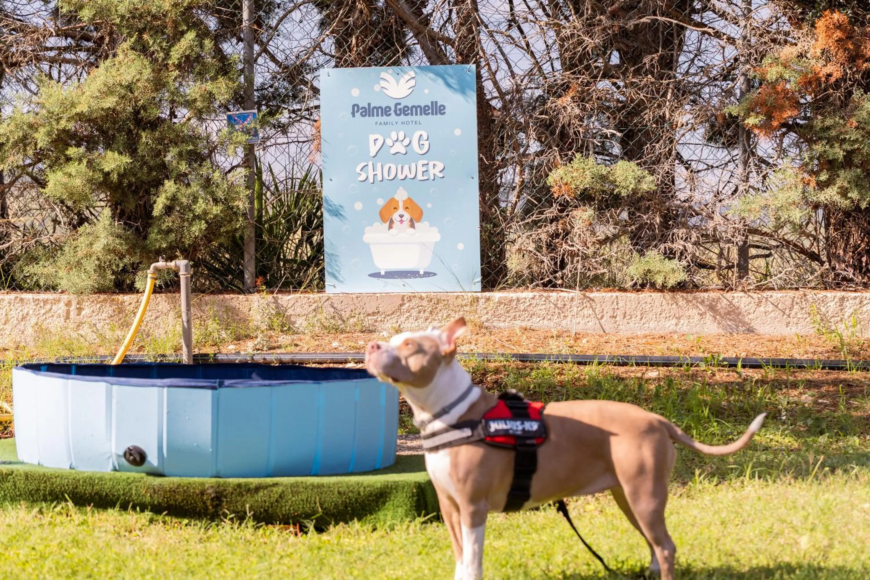Garden in Hotel Palme Gemelle