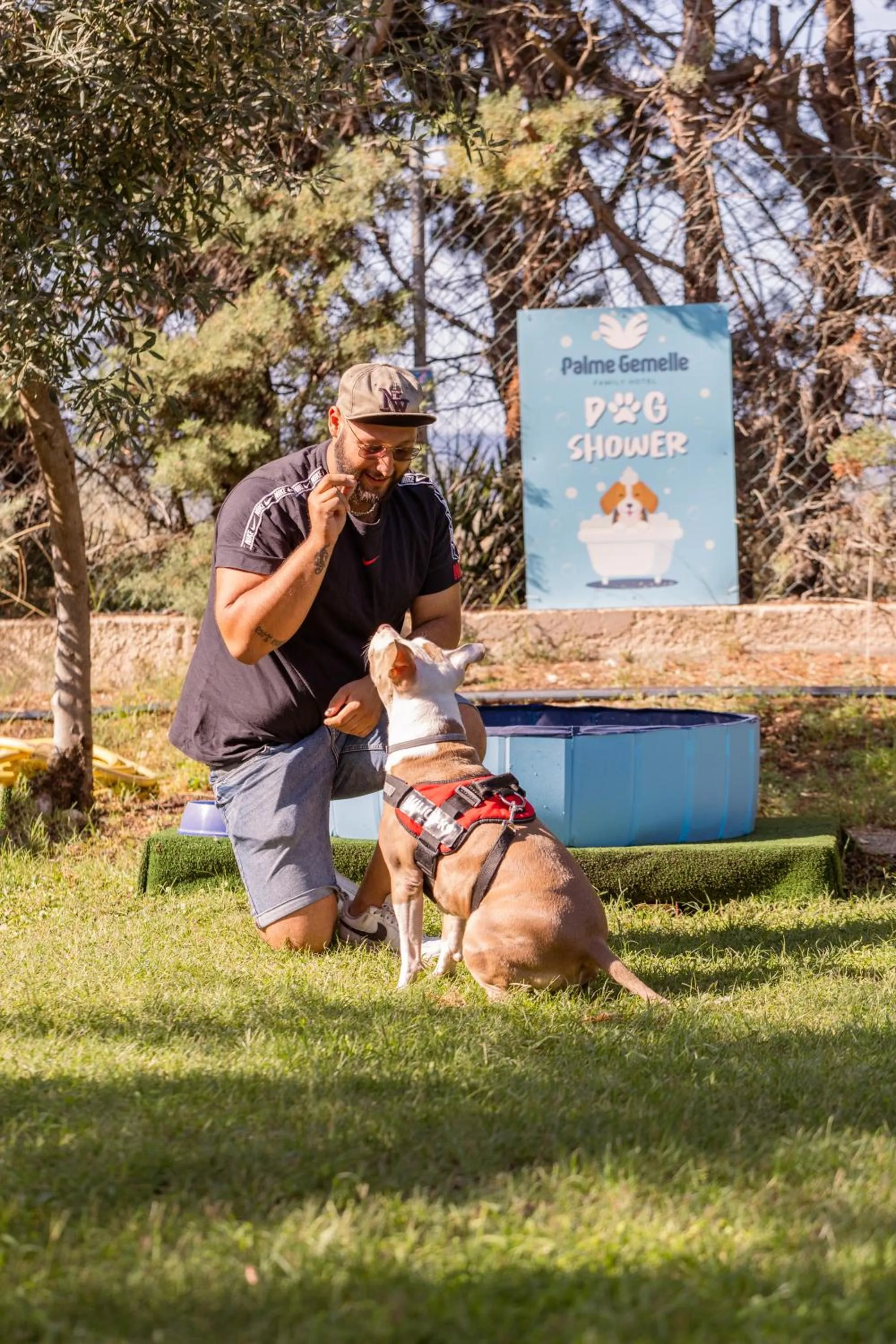 Garden in Hotel Palme Gemelle