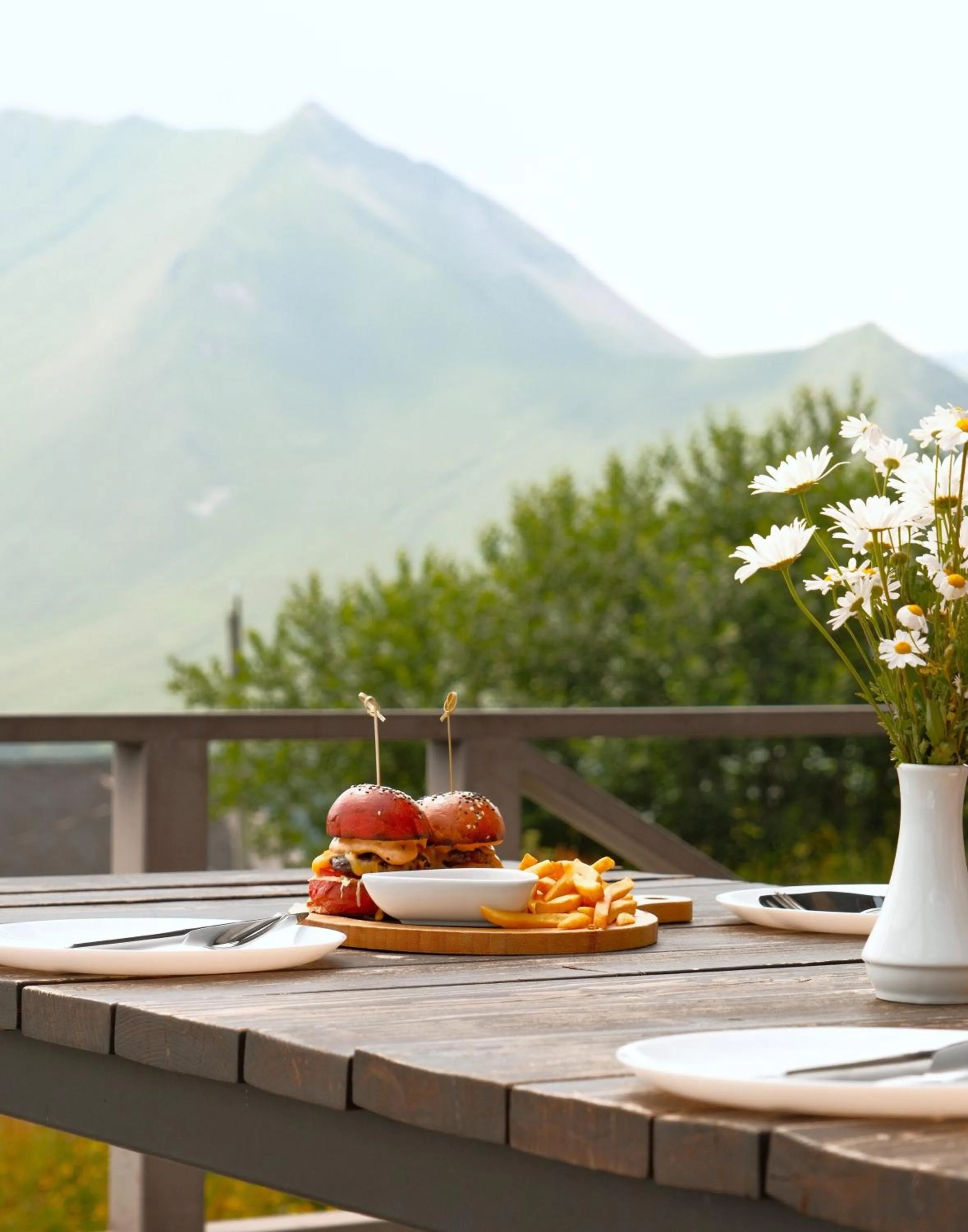 Day in Alpina Hotel Gudauri