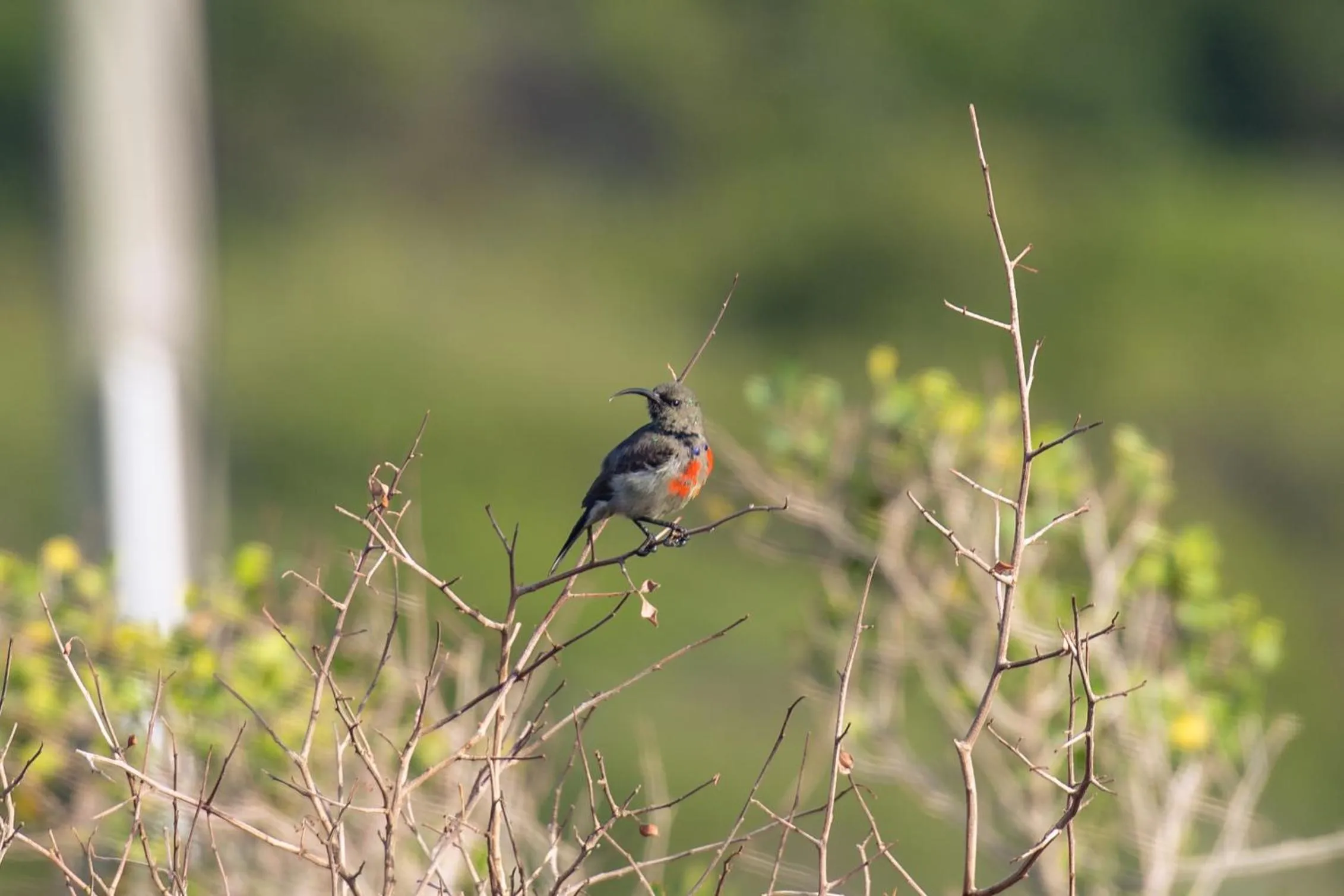 Garden in Buffelsdam Country House