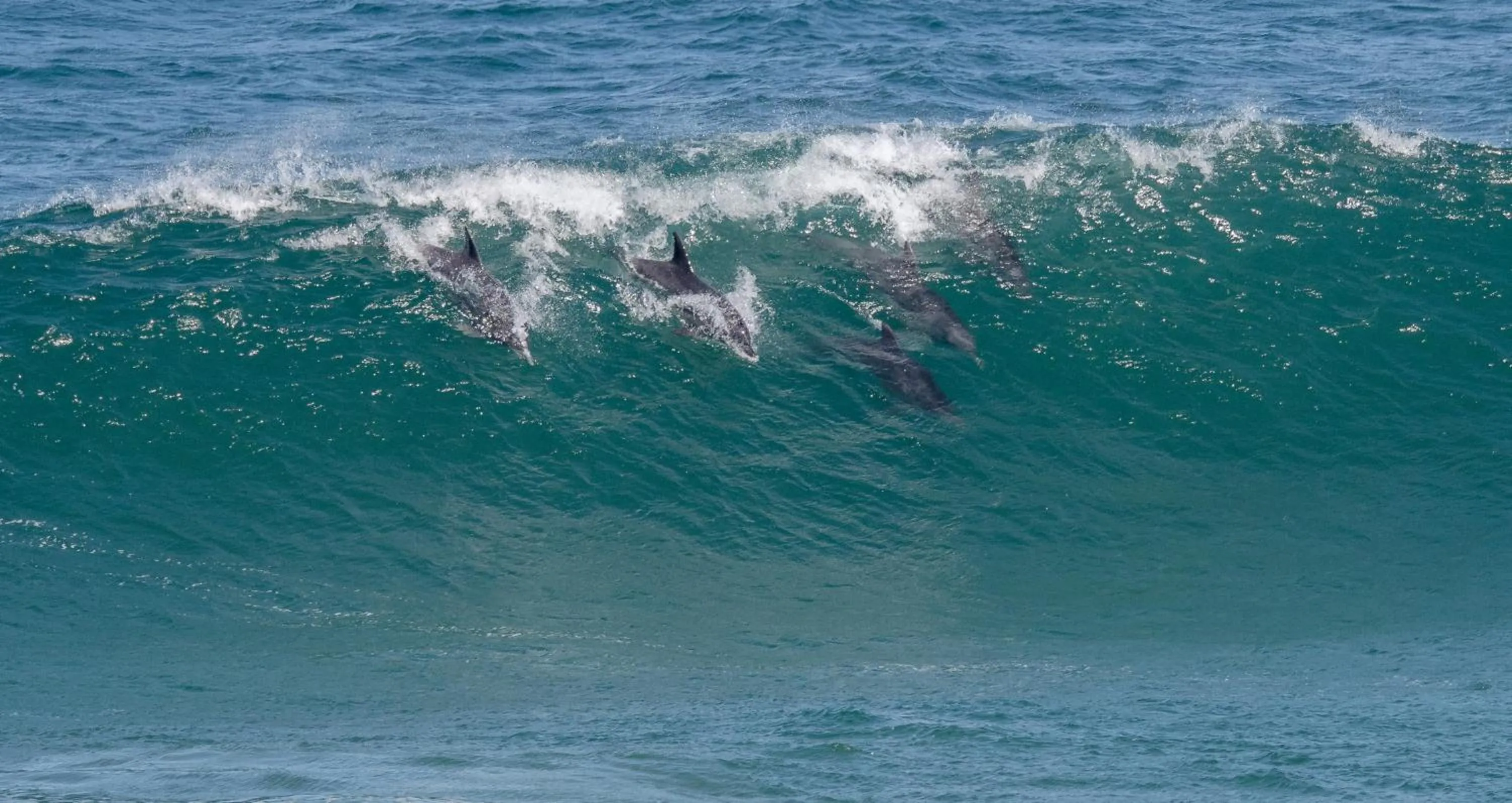 Natural landscape in Buffelsdam Country House