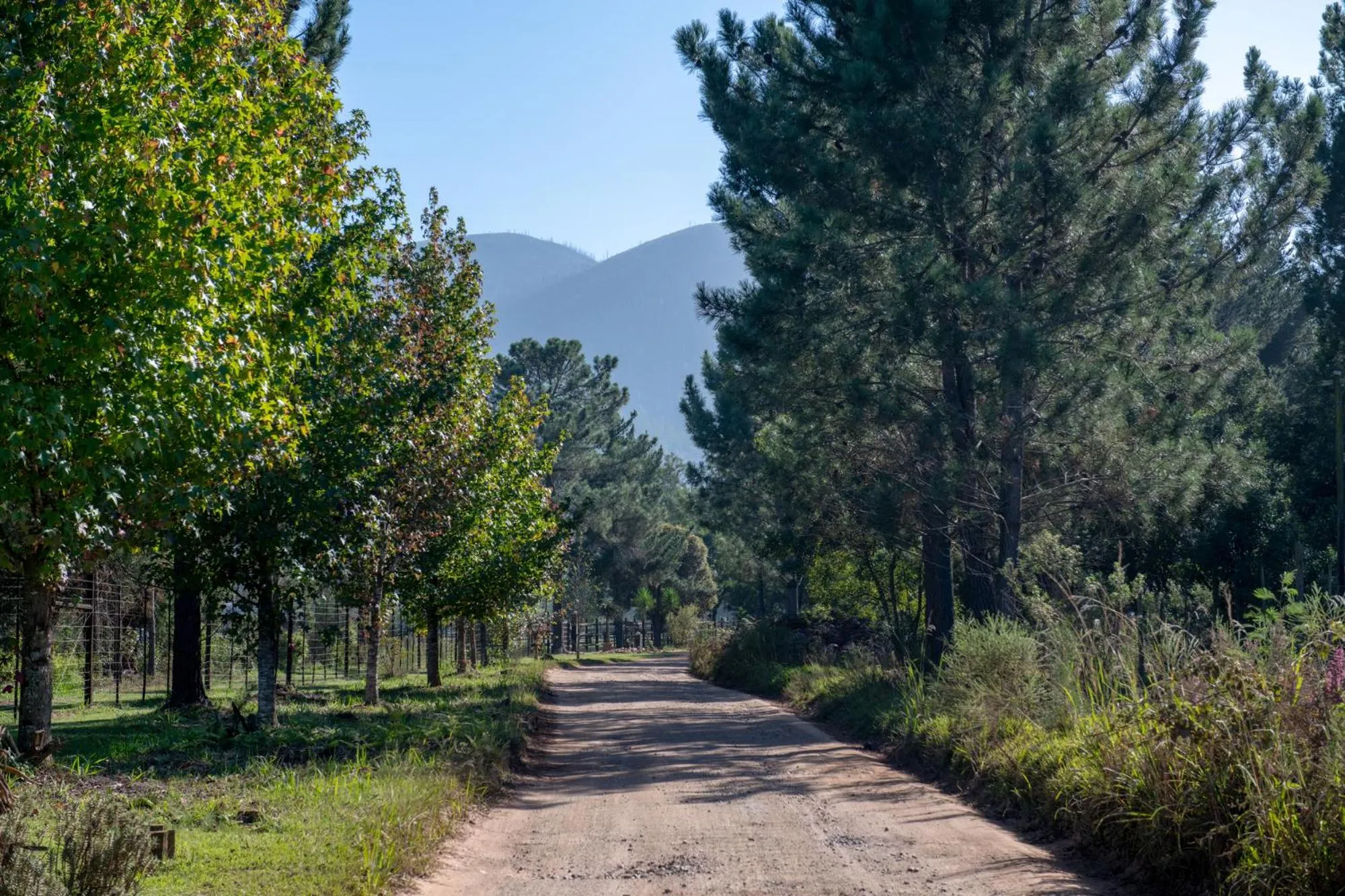 Area and facilities in Buffelsdam Country House